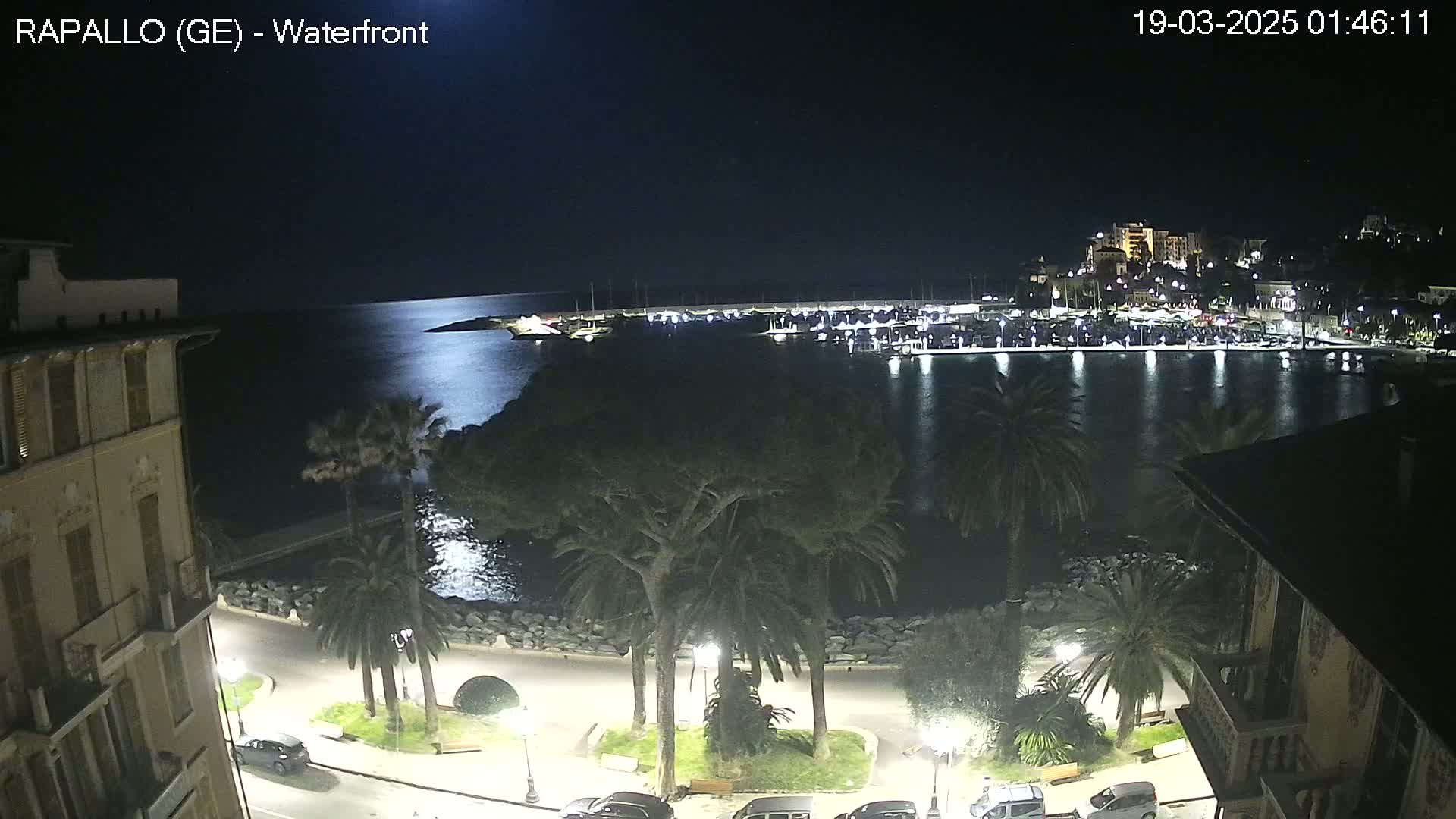 A nighttime view of a harbor filled with boats, a waterfront promenade lined with palm trees and streetlights, and buildings along the shoreline under a clear, moonlit sky.