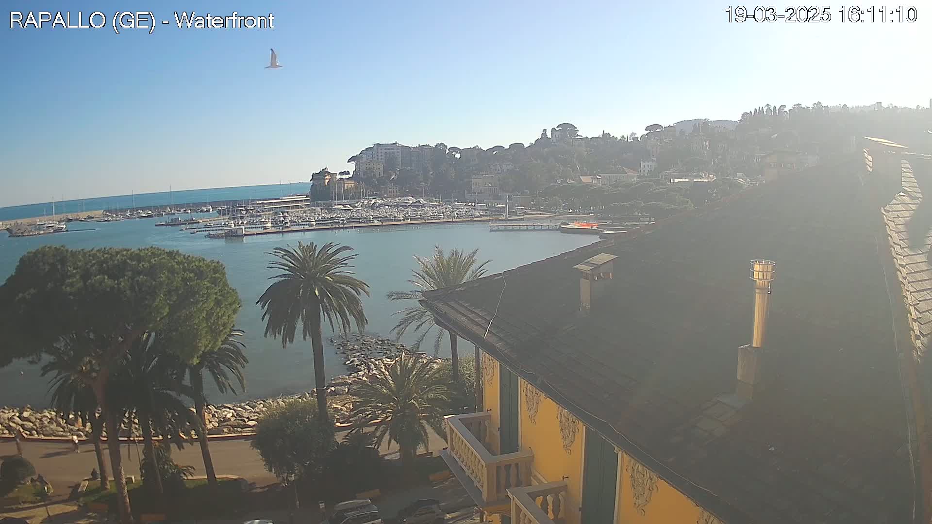A clear, sunny day overlooks a harbor filled with boats, a waterfront town nestled against a hillside, and a portion of a yellow building with a dark roof.