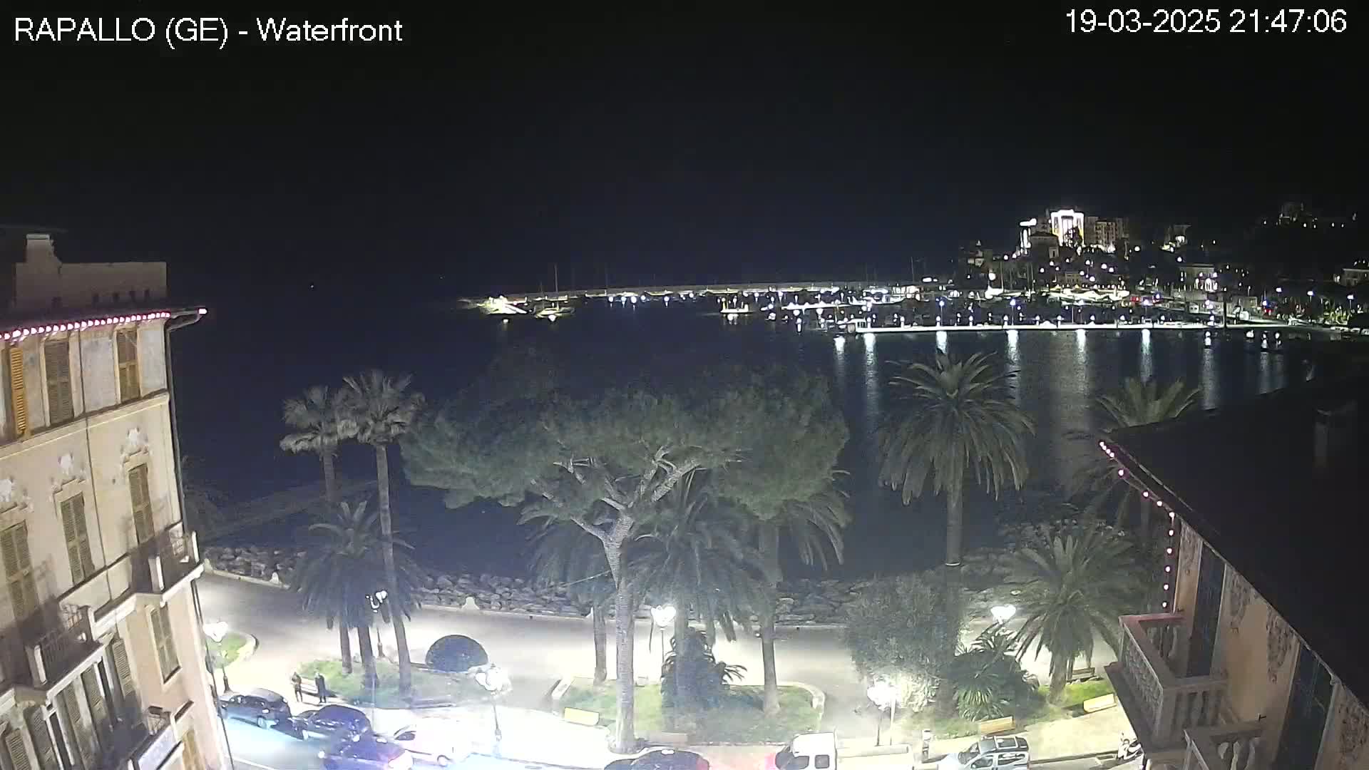 A nighttime view of a calm harbor filled with boats, lined with buildings and palm trees, under a clear, dark sky.