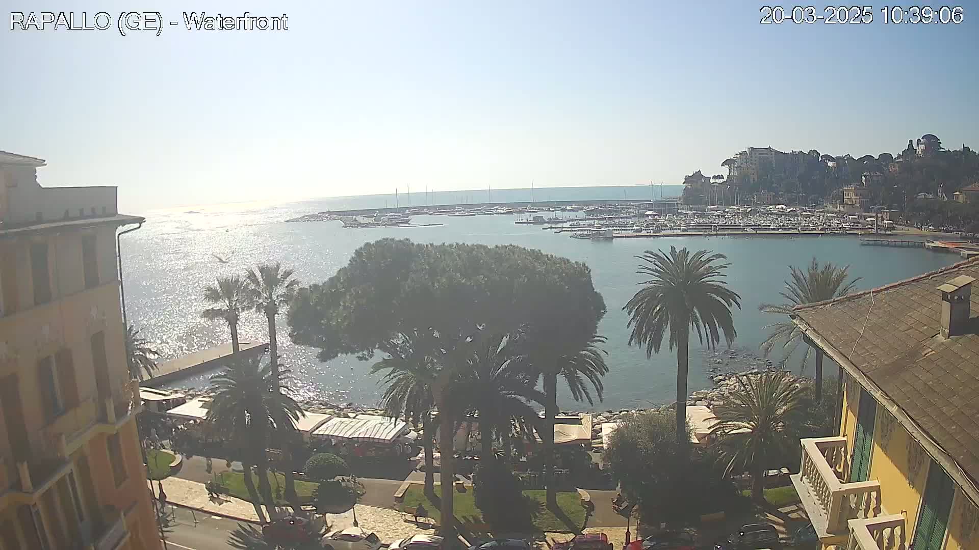 A sunny waterfront view shows a harbor filled with boats, palm trees, buildings, and a calm sea sparkling in the sunlight.