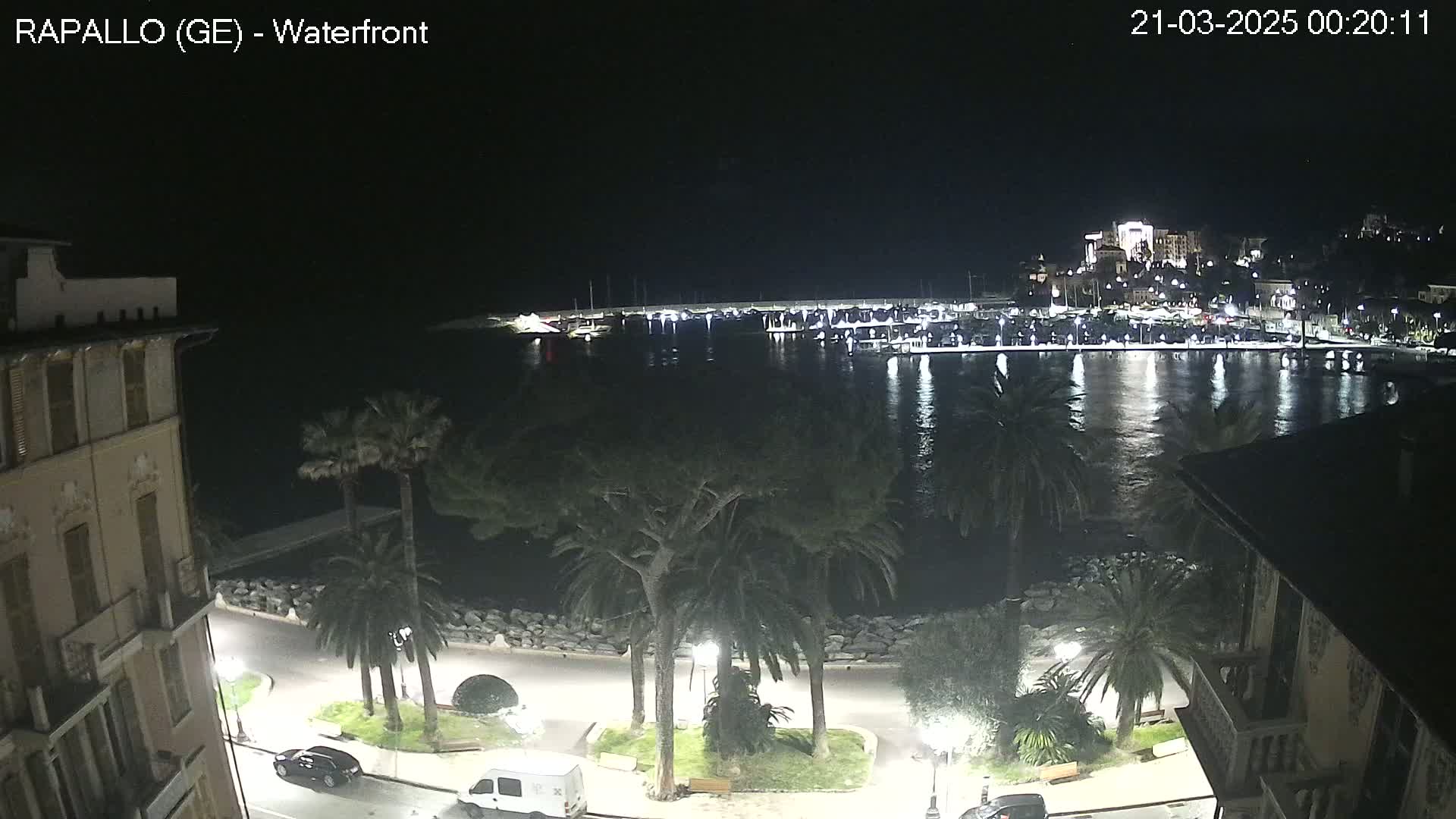 A nighttime view of a calm harbor, lined with buildings and palm trees along a waterfront road.