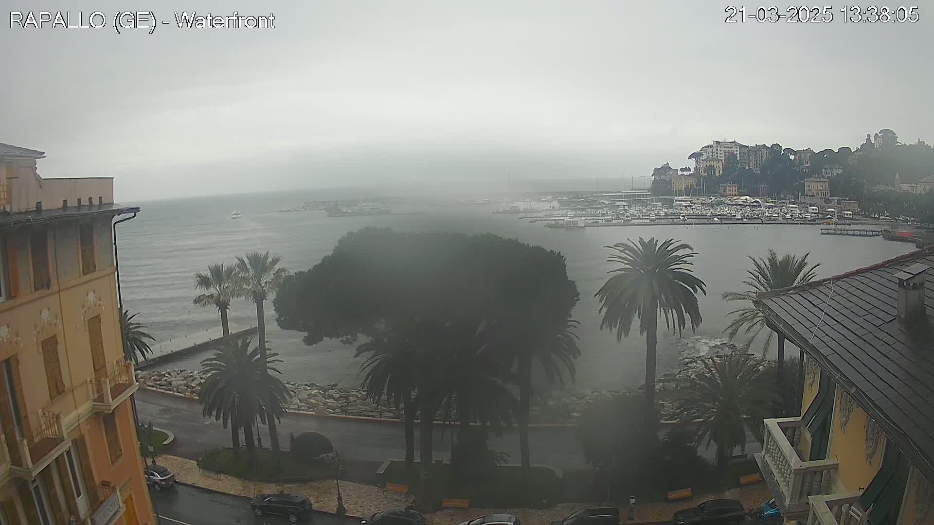A hazy, overcast waterfront scene shows palm trees lining a road beside a harbor filled with boats, with buildings visible in the distance.