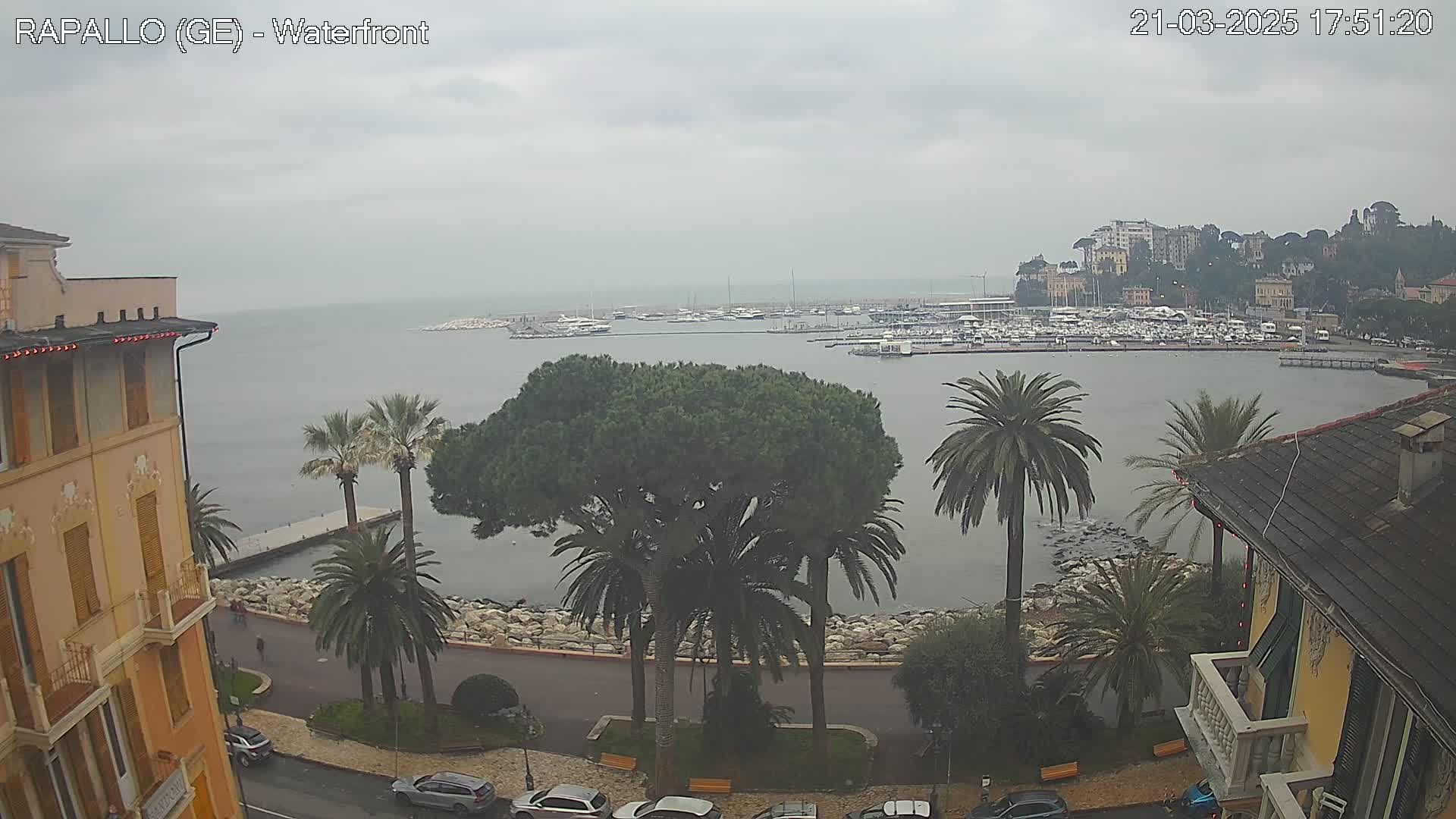 A waterfront view on an overcast day shows a harbor filled with boats, palm trees lining a stone seawall, and buildings on either side of a road.