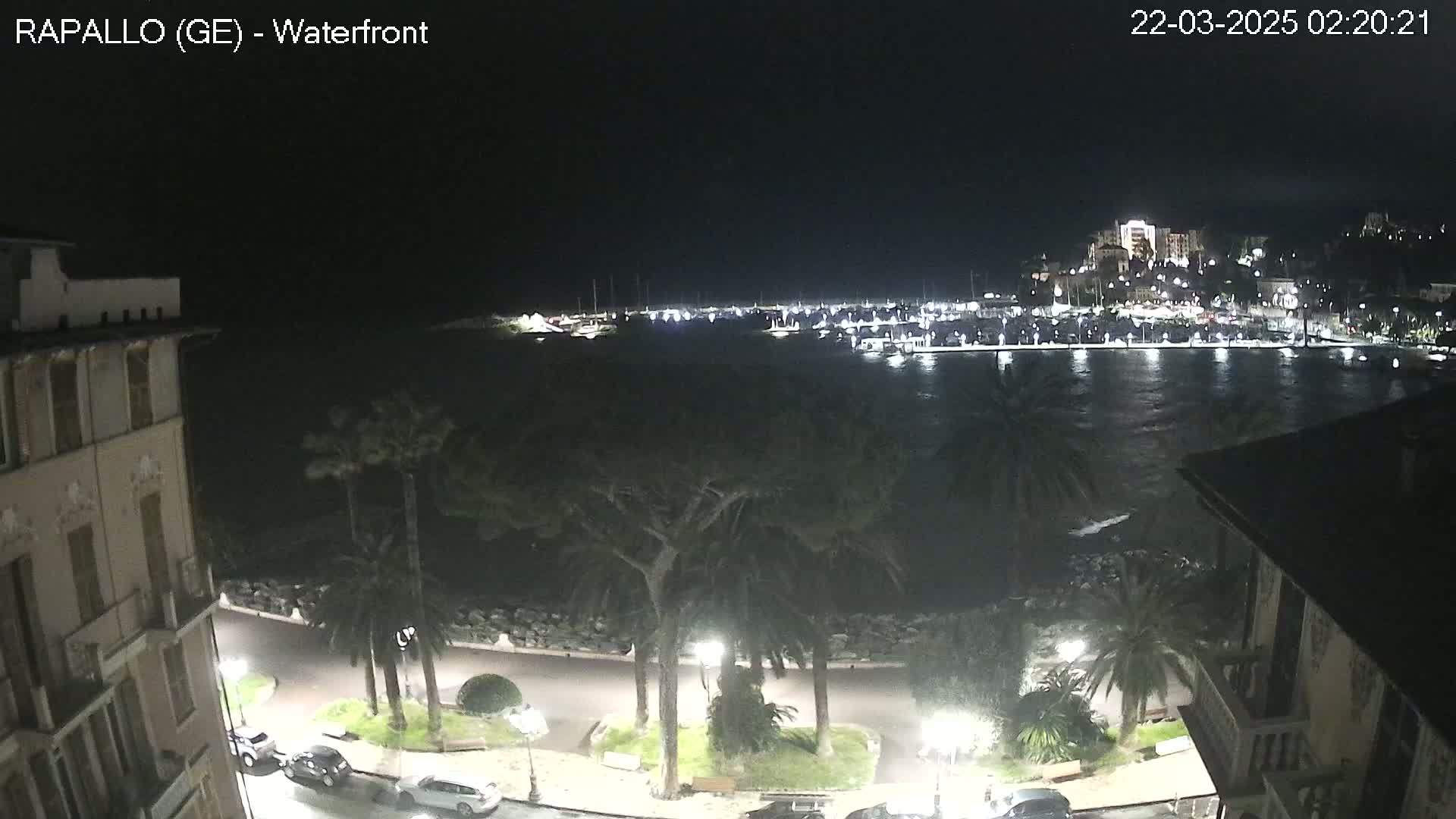 A nighttime view of a waterfront town with palm trees lining a street next to a calm body of water, which has many boats docked across from a brightly lit town.