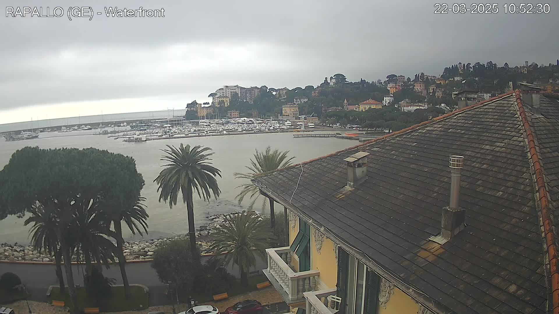 A harbor filled with boats is seen from an elevated viewpoint on a cloudy day, with a town built on a hillside in the background.