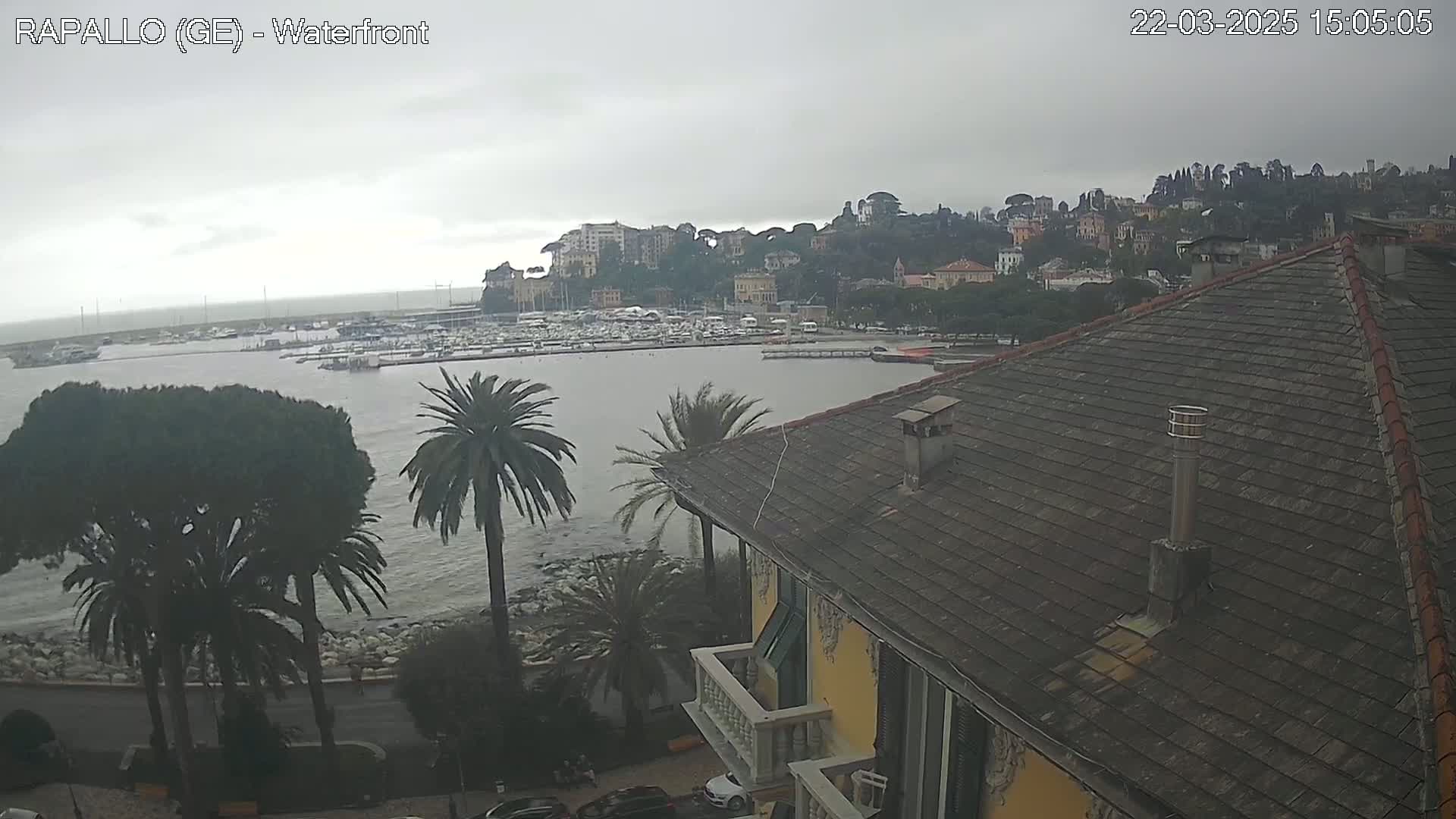 A view from a building's rooftop shows a harbor filled with boats under an overcast sky, with palm trees and other vegetation along the waterfront and a hillside town in the background.