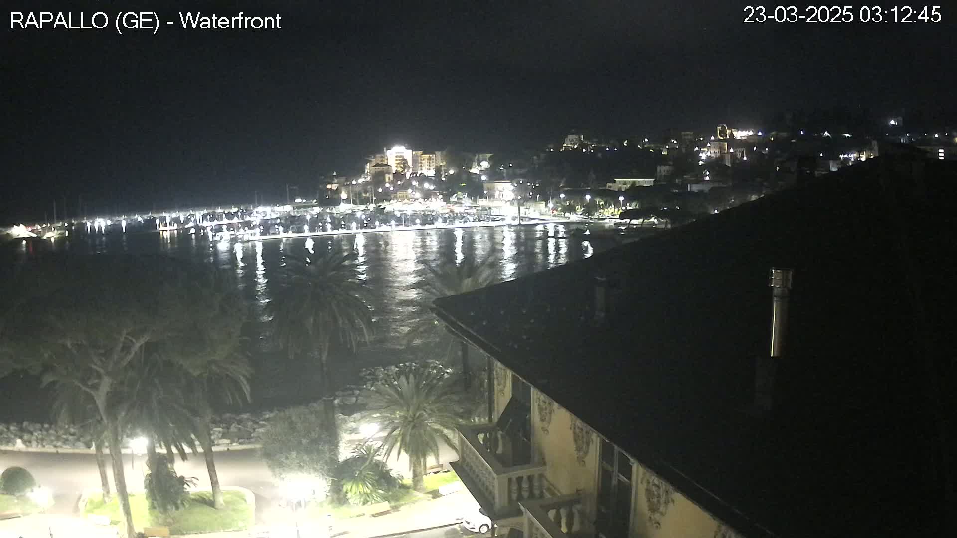 A nighttime view of a calm harbor with boats docked, illuminated buildings on a hillside, and palm trees lining a waterfront promenade.