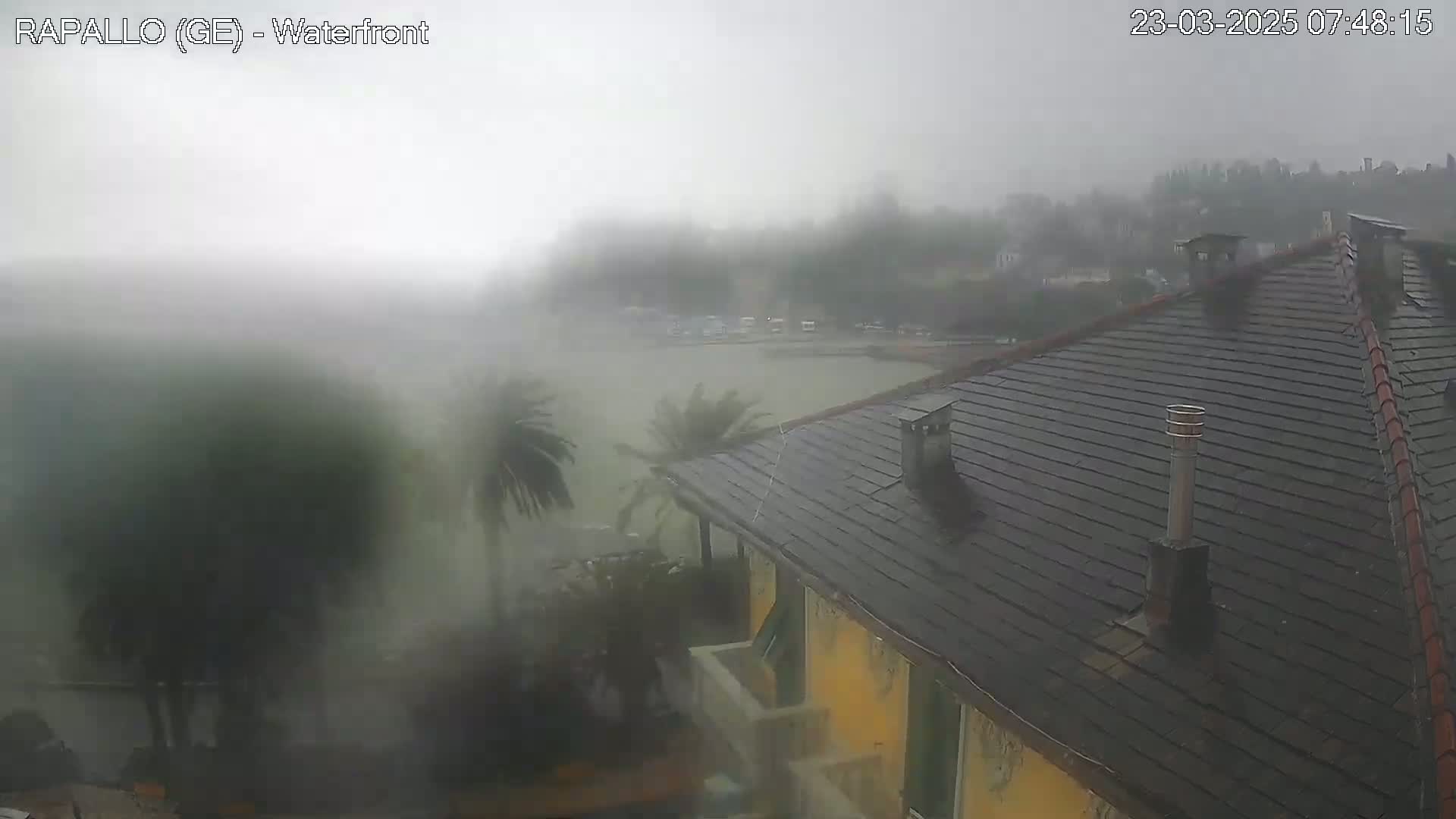 A view from a building shows a waterfront scene obscured by heavy rain and wind, with palm trees bending in the storm.