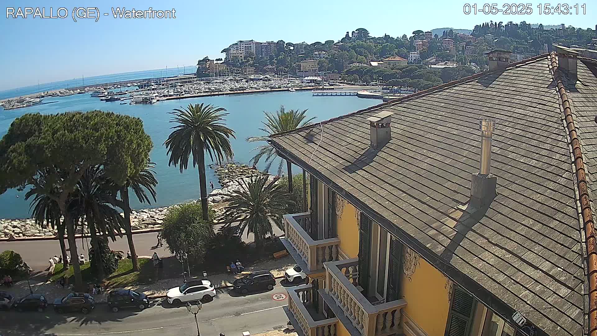 A view from a rooftop overlooking a harbor filled with boats, a waterfront lined with palm trees and buildings, under a clear sunny sky.