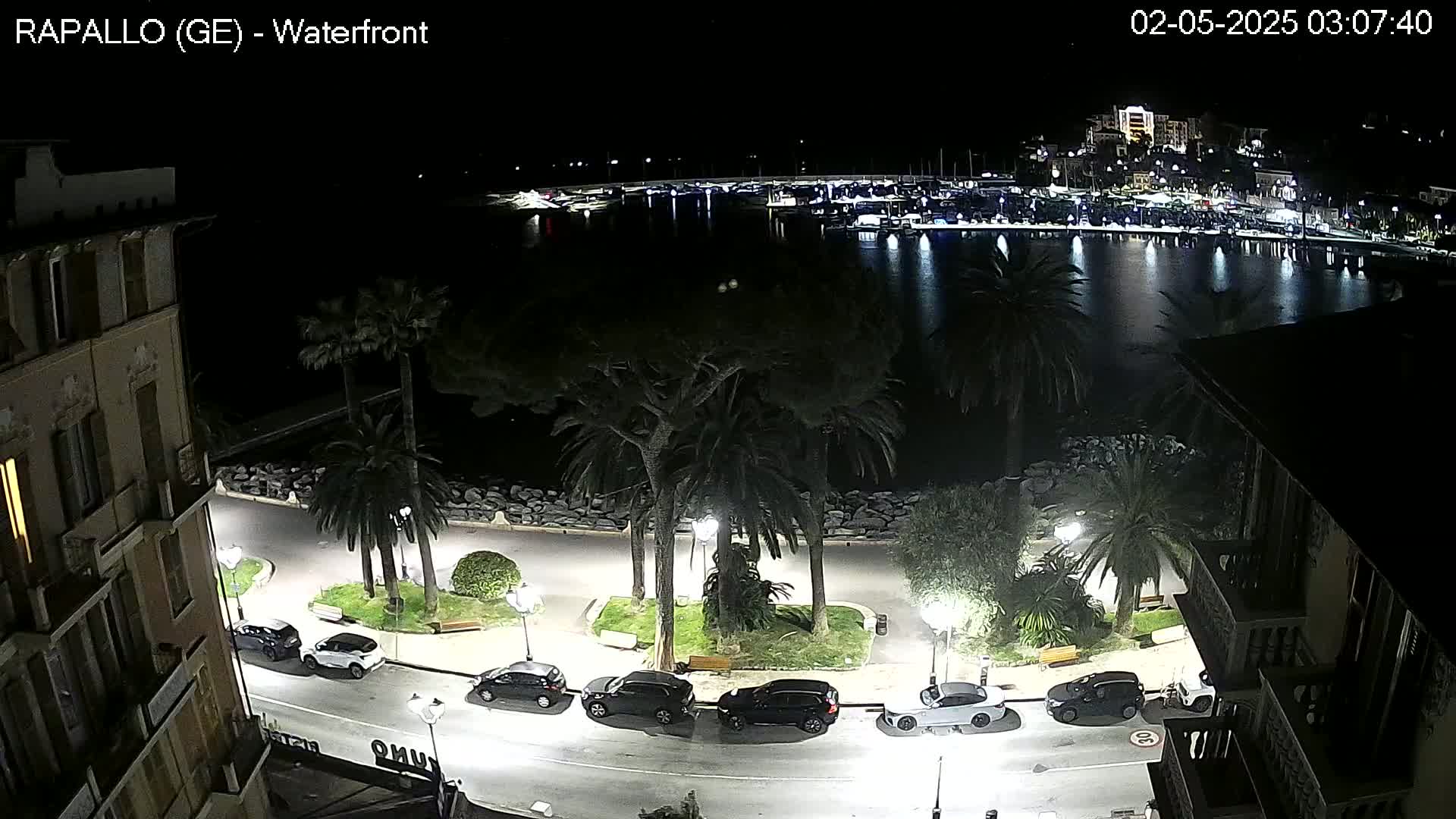 A nighttime, high-angle view of a waterfront area showing a calm body of water with boats, palm trees lining a paved walkway, and several cars parked along the roadside.