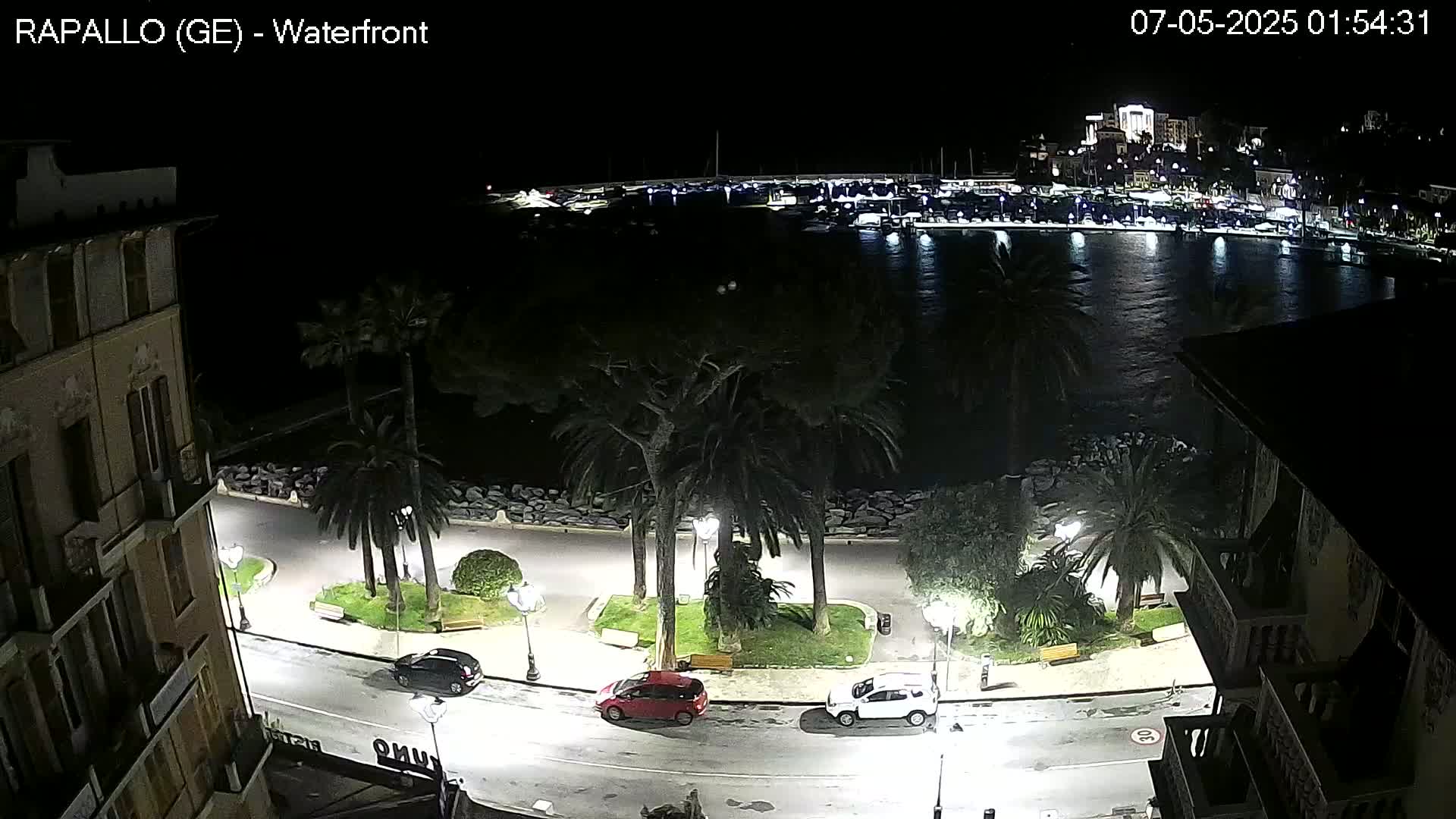 A nighttime, aerial view of a waterfront area with palm trees lining a paved walkway next to a calm body of water, where boats are docked.
