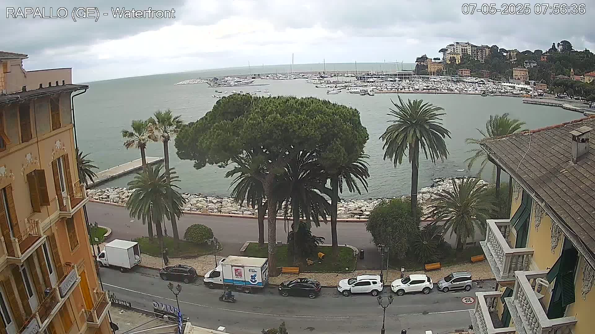 A waterfront scene on an overcast day shows a harbor filled with boats, palm trees lining a paved walkway, and buildings along the shore.