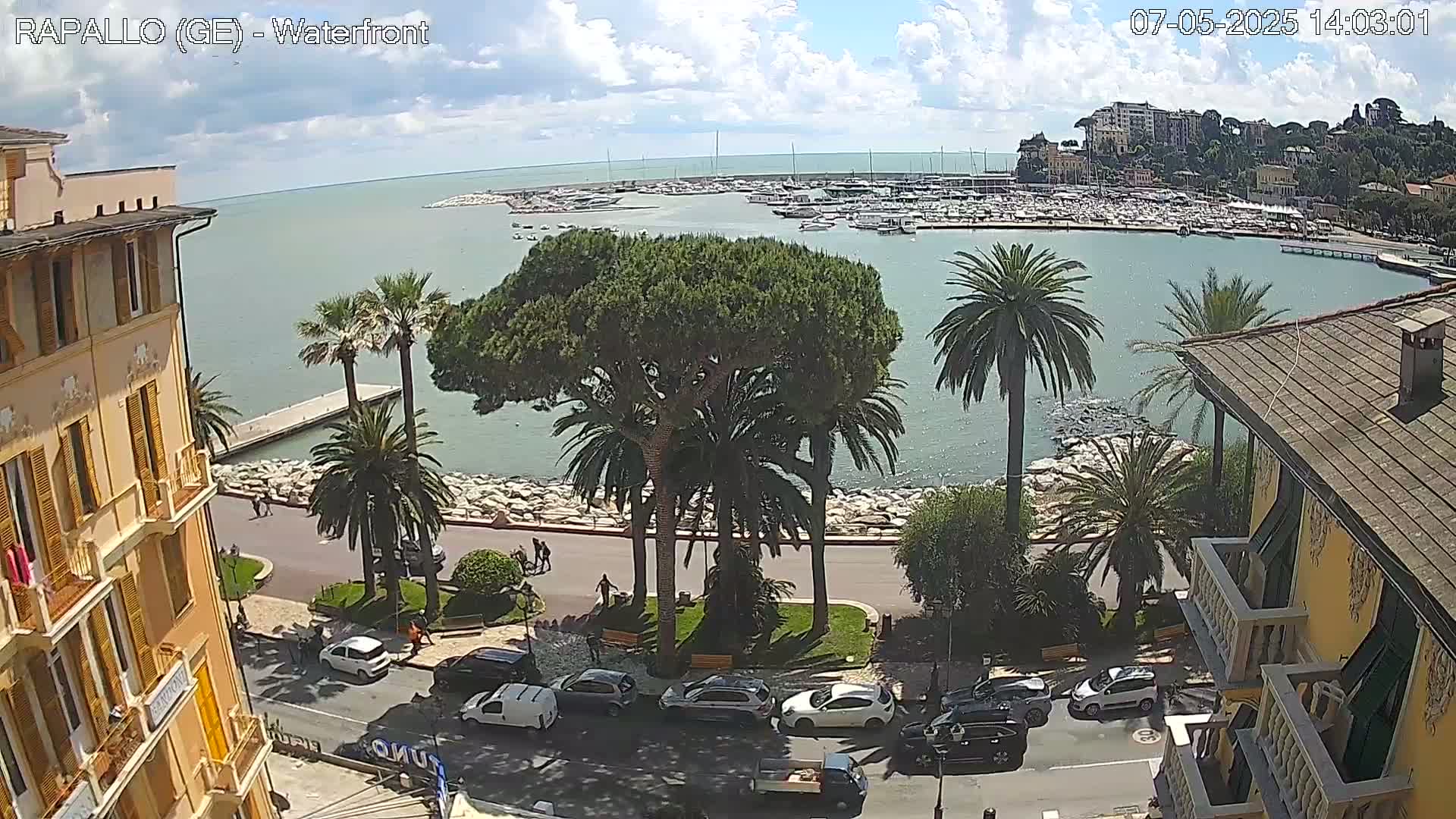 A waterfront scene on a partly sunny day shows a calm body of water filled with boats, a roadway lined with palm trees and buildings, and several cars parked along the side of the road.