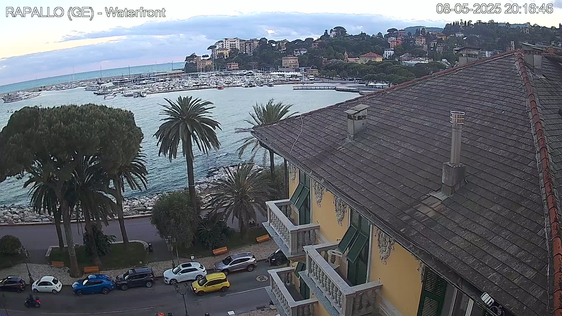 An overcast day shows a waterfront view of a town with boats in a harbor, palm trees, and cars parked along a road next to a yellow building with a grey roof.