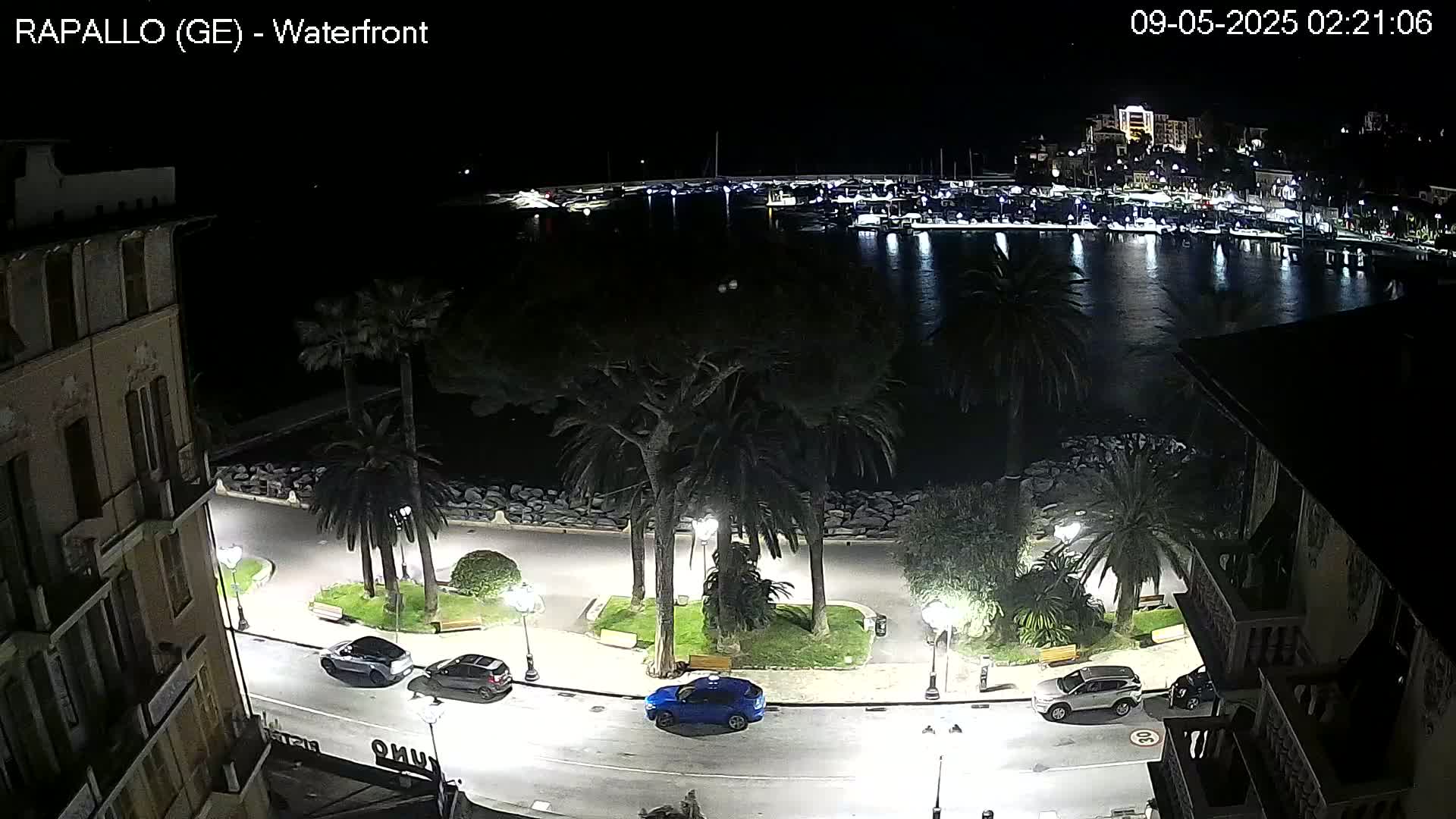 A nighttime waterfront view shows a calm body of water with boats docked, a paved walkway lined with palm trees and streetlights, and several cars parked along the road next to a building.