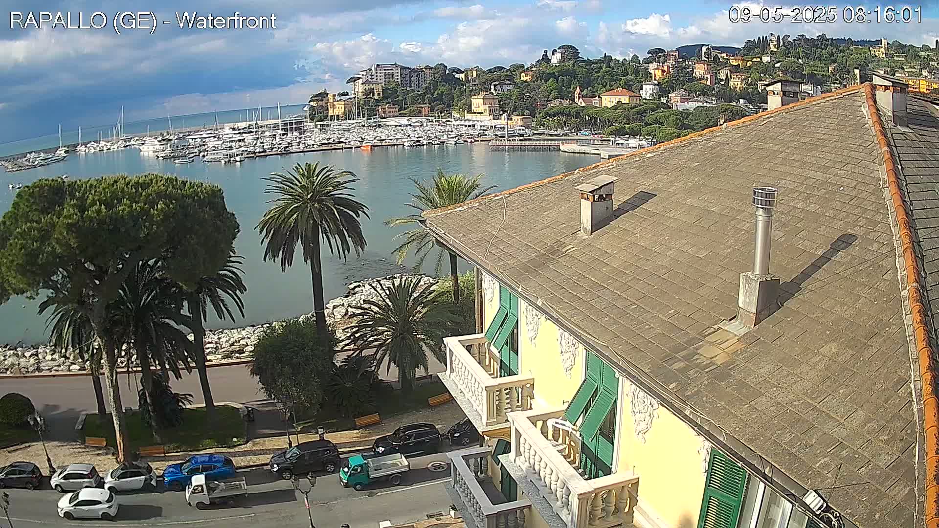 A waterfront view overlooking a harbor filled with boats, a town nestled on a hillside, and a building's roof with palm trees and cars on a sunny day.