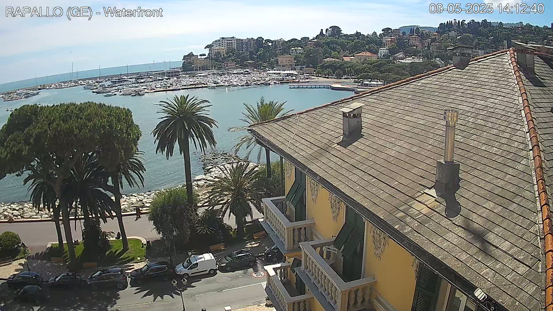 A waterfront view on a sunny day shows a harbor filled with boats, palm trees lining a seaside road, and a building with a sloped roof in the foreground.