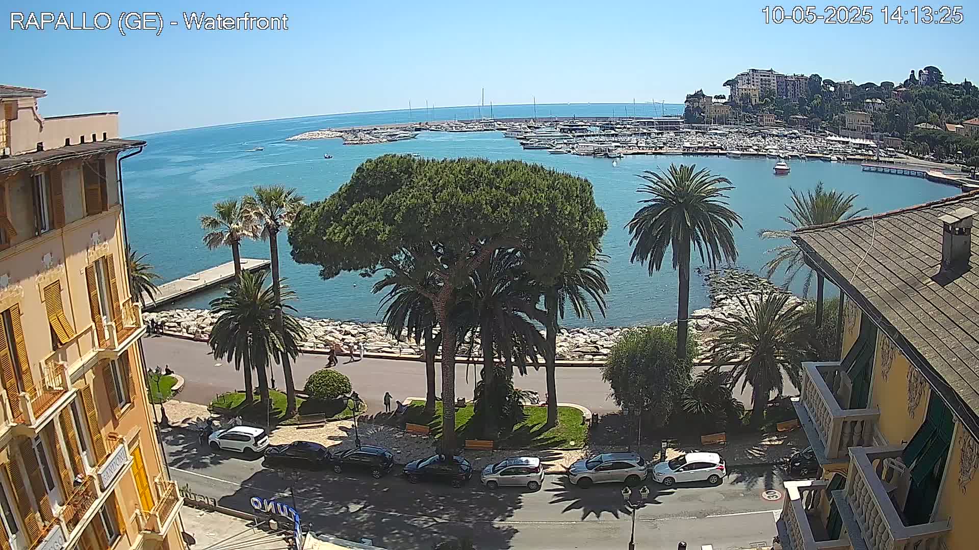 A waterfront view on a sunny day shows a calm blue sea with boats in a harbor, palm trees lining a paved road next to buildings, and cars parked along the street.