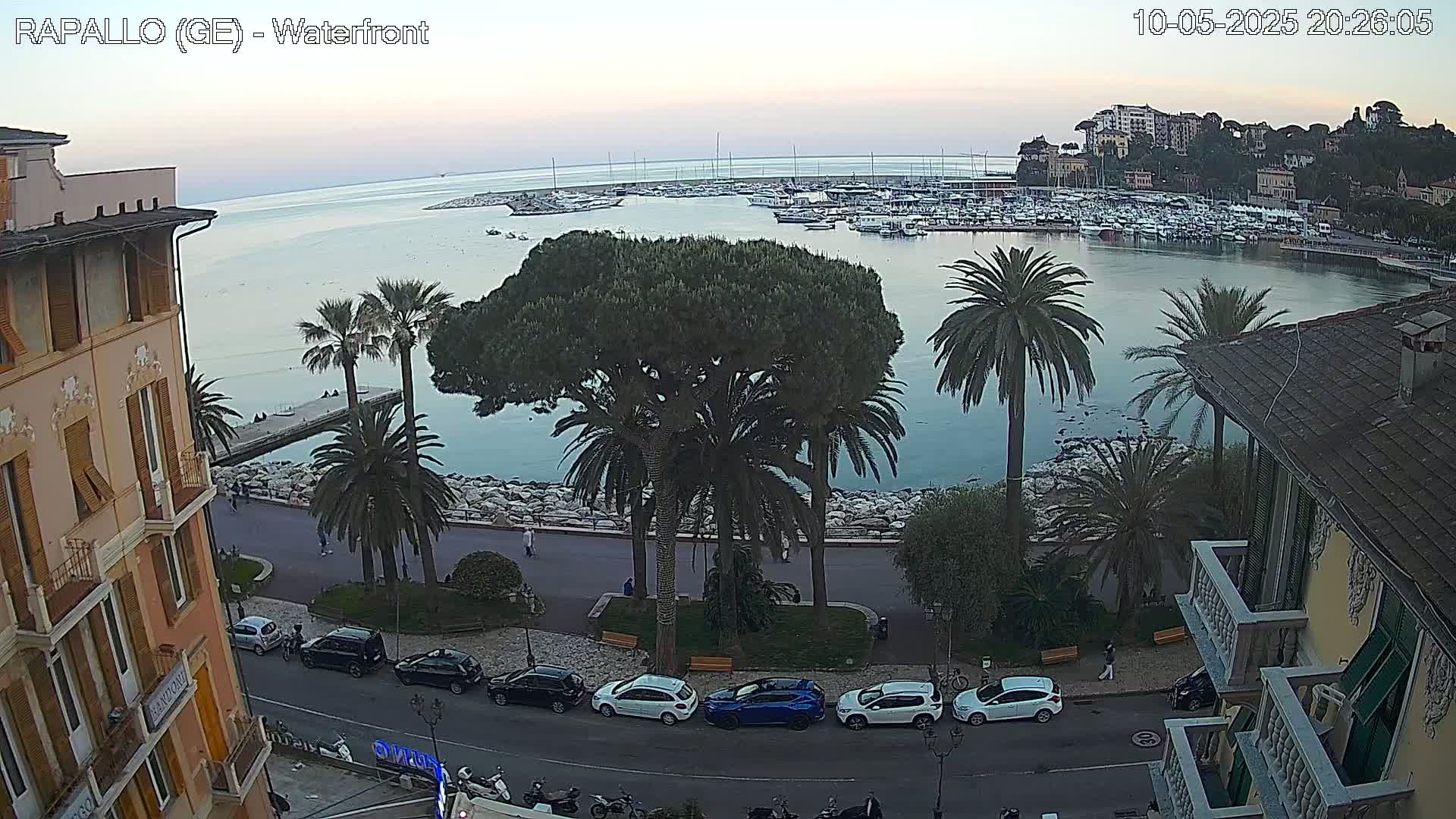 An evening view from a waterfront building shows a calm bay filled with boats, palm trees lining a paved walkway, and cars parked along the street.