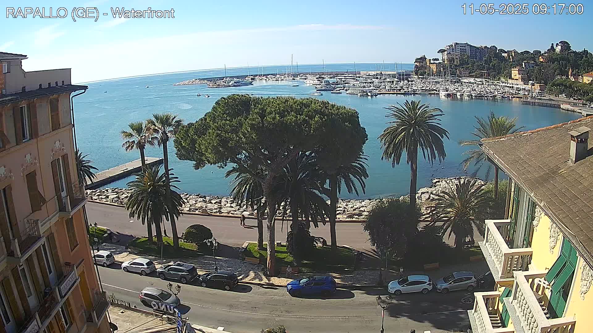A waterfront scene on a sunny day shows a harbor filled with boats, palm trees lining a paved walkway next to buildings, and several cars parked along the street.