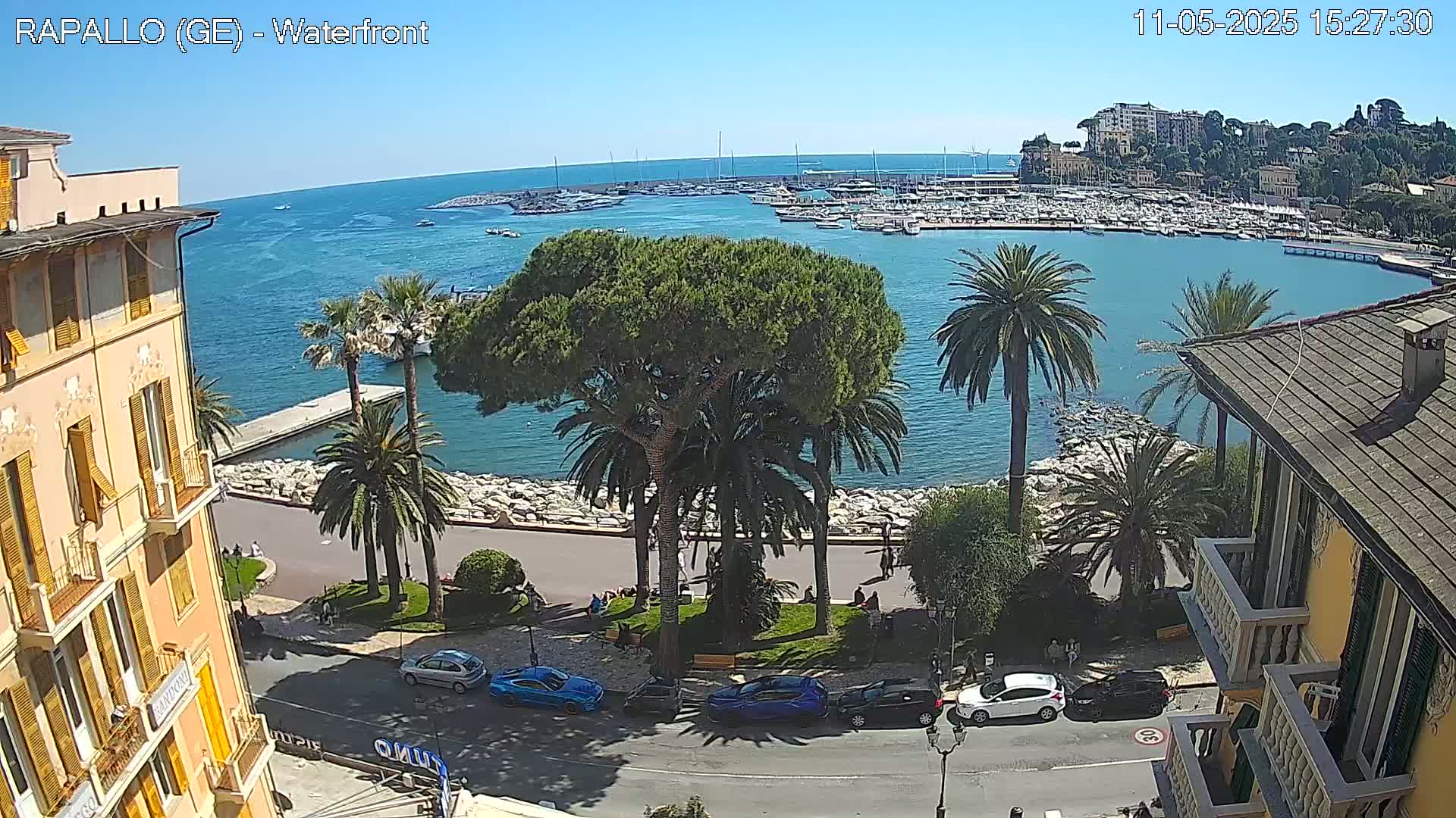 A waterfront view shows a harbor filled with boats, palm trees lining a roadway next to the water, and buildings in the foreground under a clear blue sky.