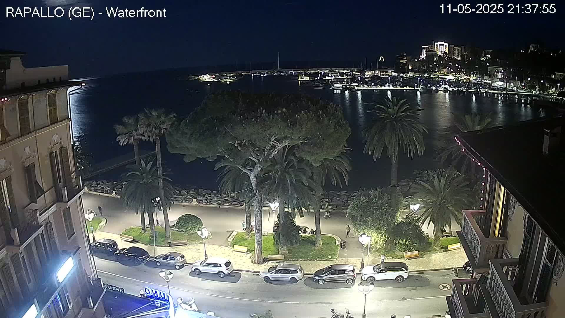 A nighttime, waterfront view of a city harbor with boats, palm trees lining a paved walkway, and cars parked along a street next to buildings.