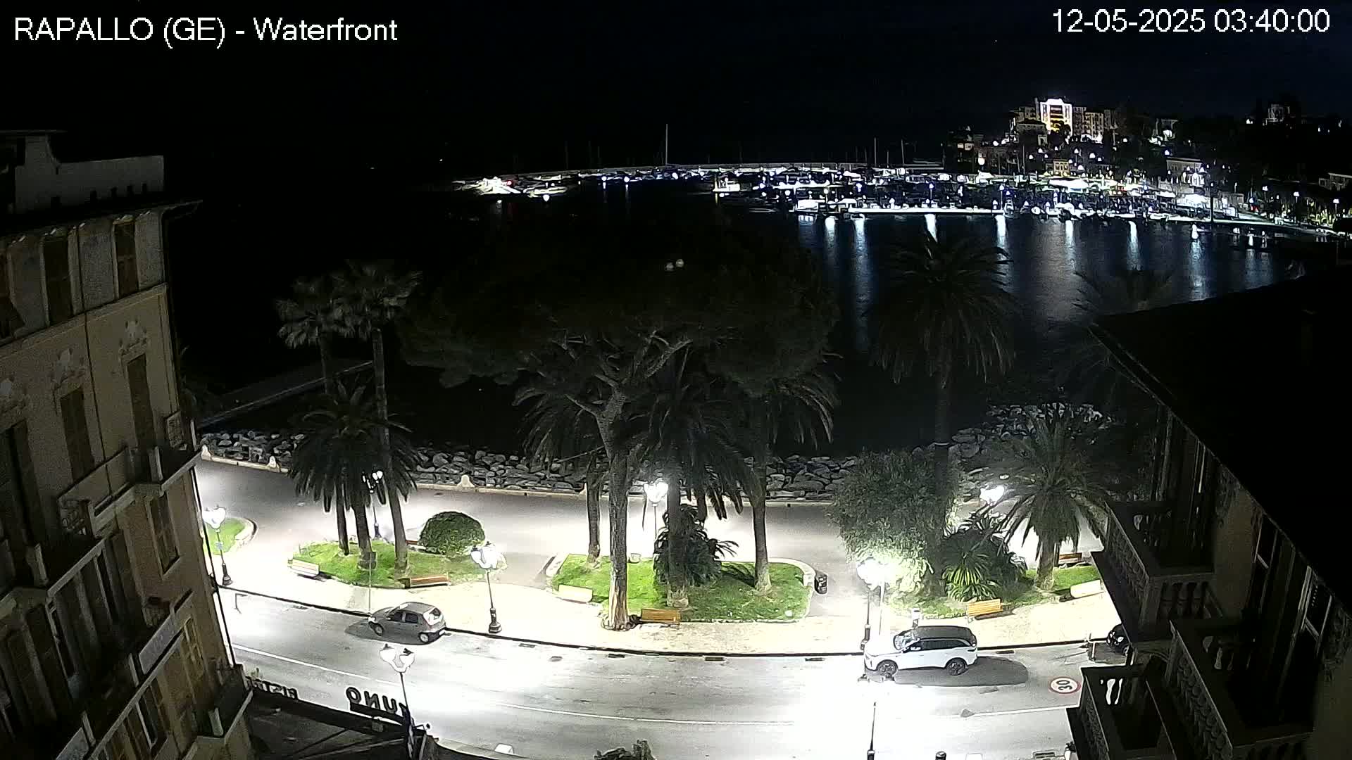 A nighttime view of a waterfront promenade with palm trees, parked cars, and a harbor filled with boats.