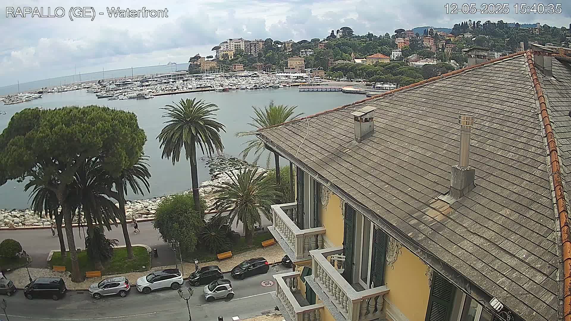 An overcast day shows a harbor filled with boats, a waterfront lined with palm trees and buildings, and a view from a building's rooftop.