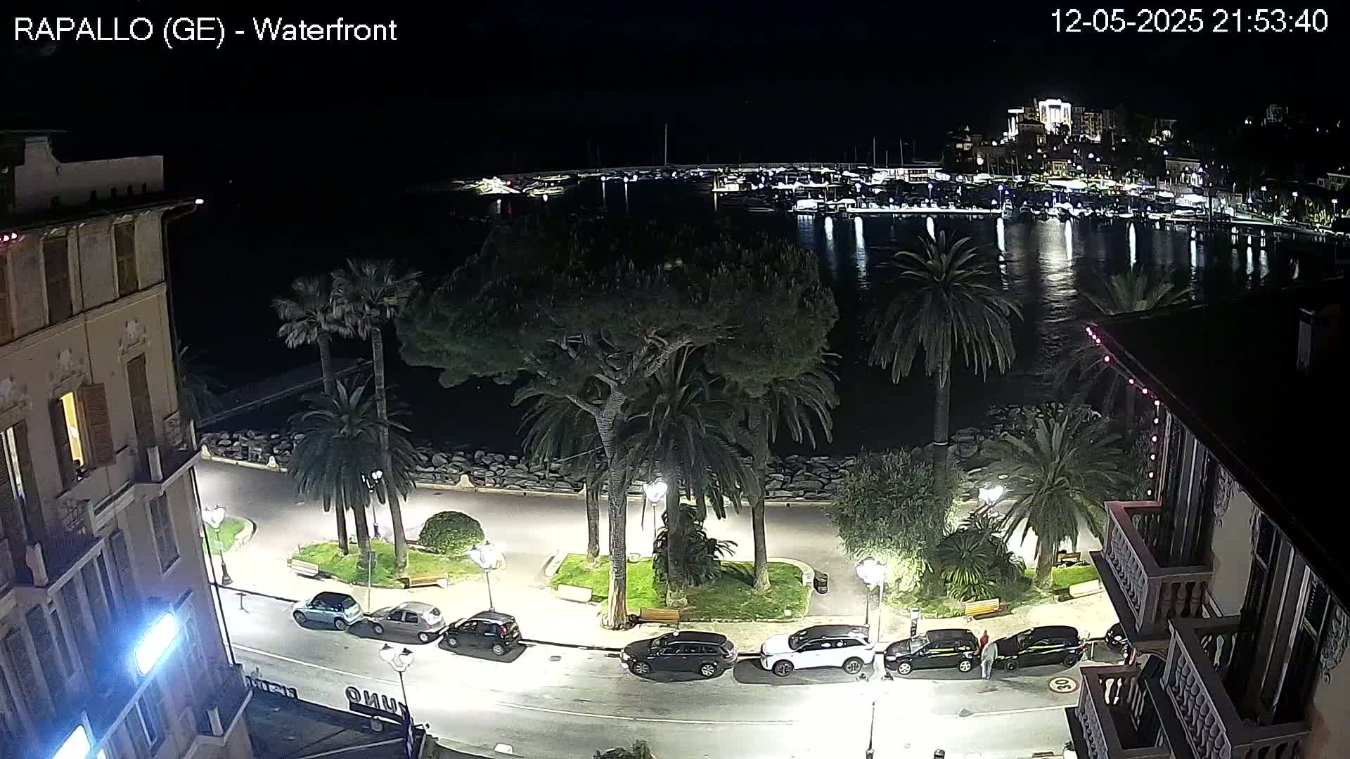 A nighttime view of a waterfront area shows a calm body of water with boats, palm trees lining a paved walkway next to buildings, and cars parked along the street.
