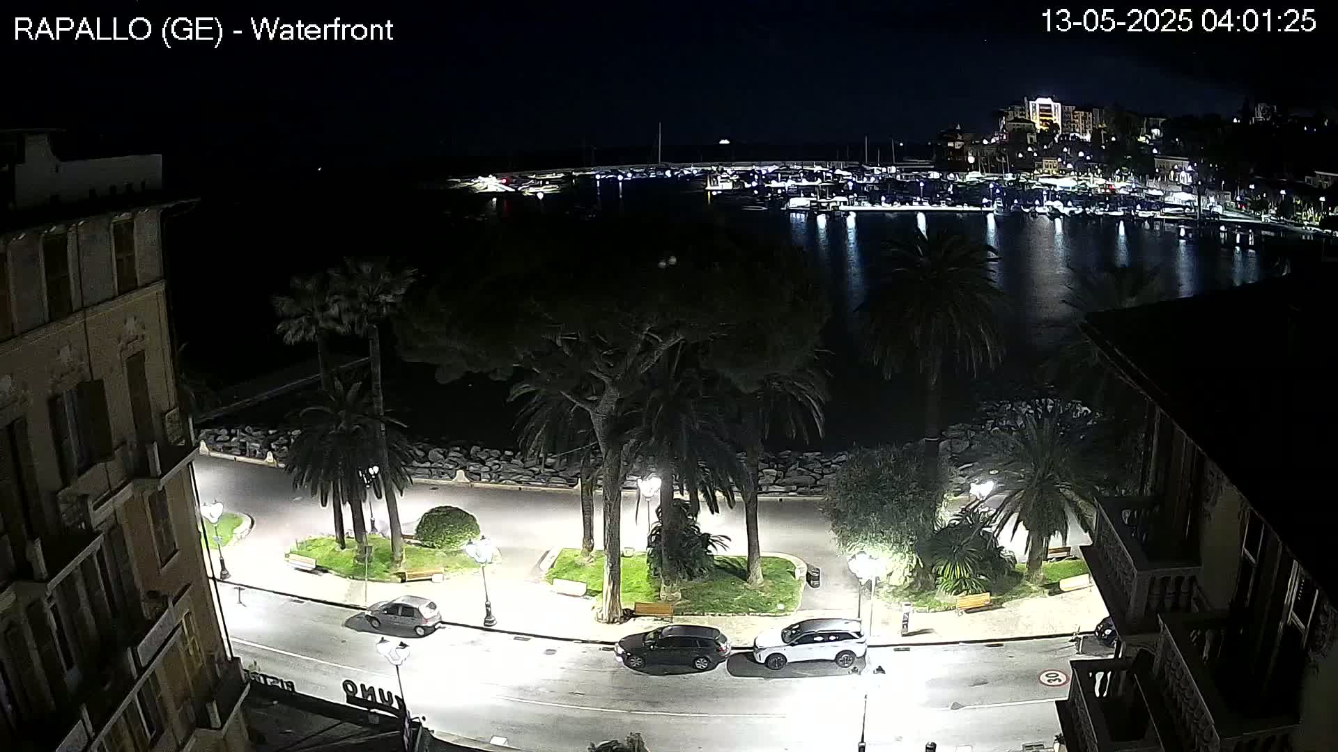 A nighttime view of a waterfront promenade lined with palm trees and a few parked cars, overlooking a harbor filled with boats under a clear sky.