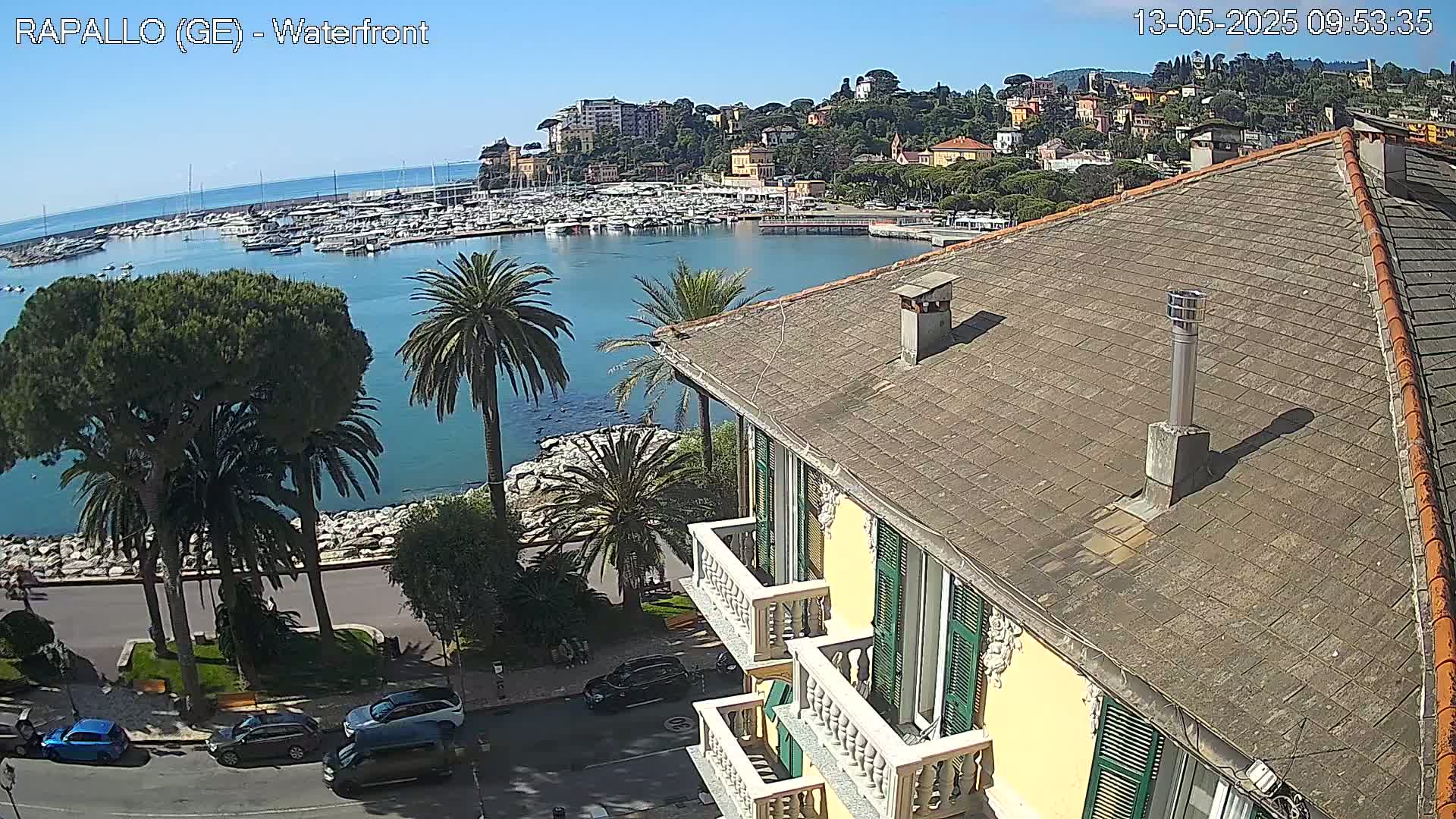 A sunny day overlooking a harbor filled with boats, a waterfront lined with palm trees, and a hillside town, as seen from a building's rooftop.
