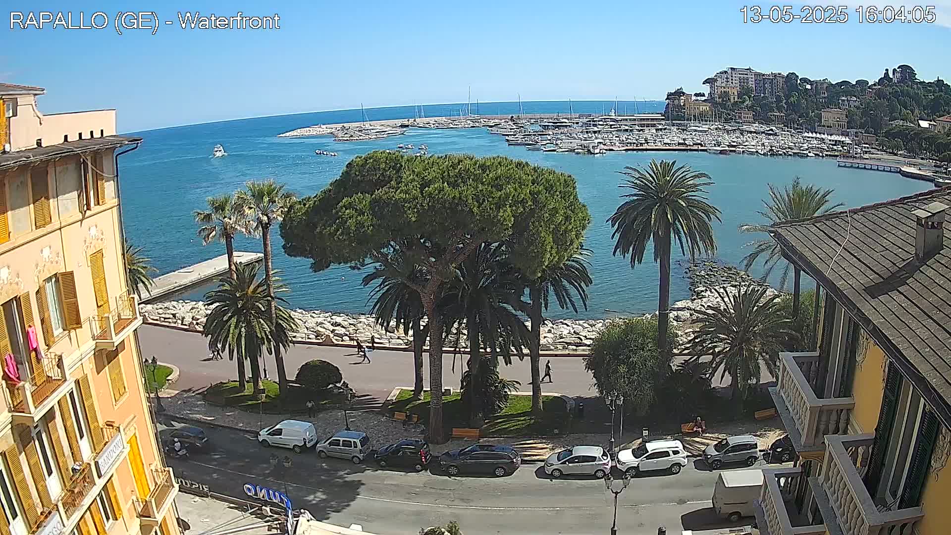 A sunny waterfront view shows a harbor filled with boats, palm trees lining a paved walkway, and cars parked along a street next to buildings.