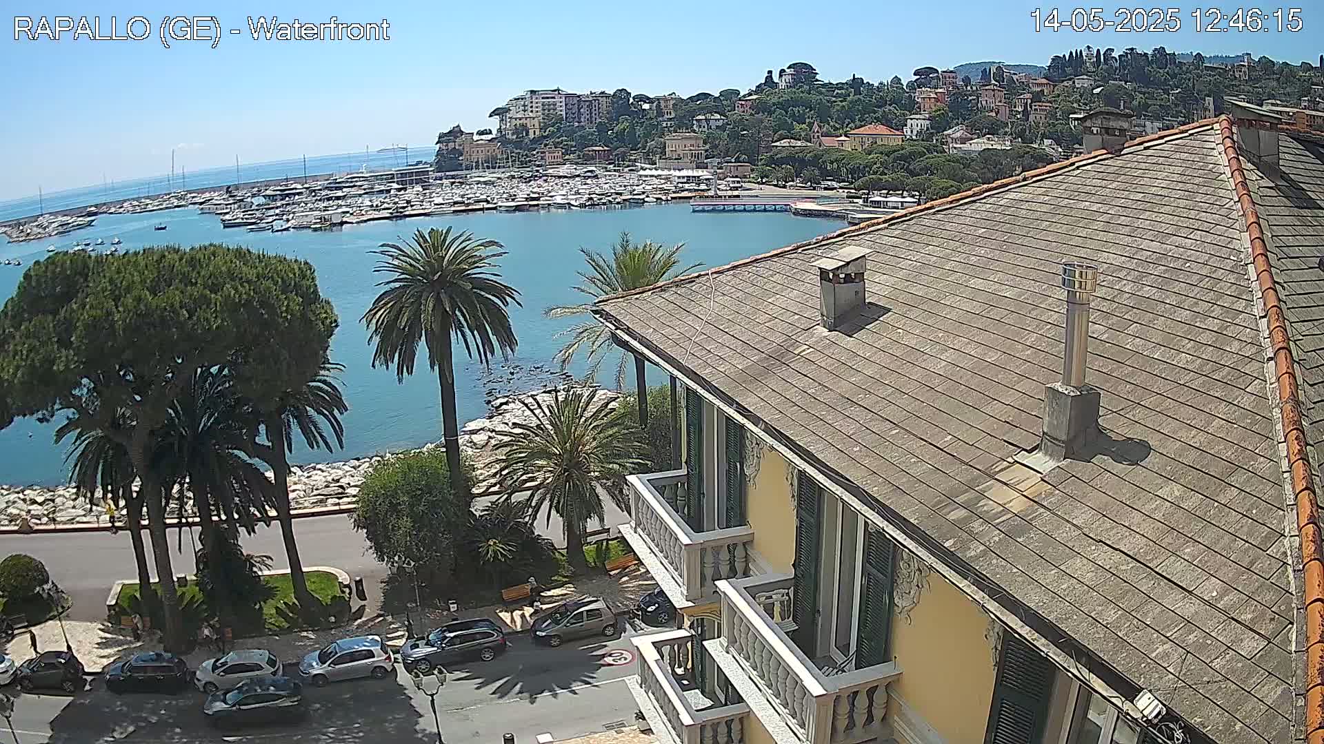 A waterfront view of a town with a harbor full of boats, palm trees lining a seaside road, and a yellow building with a gray roof in the foreground under sunny skies.