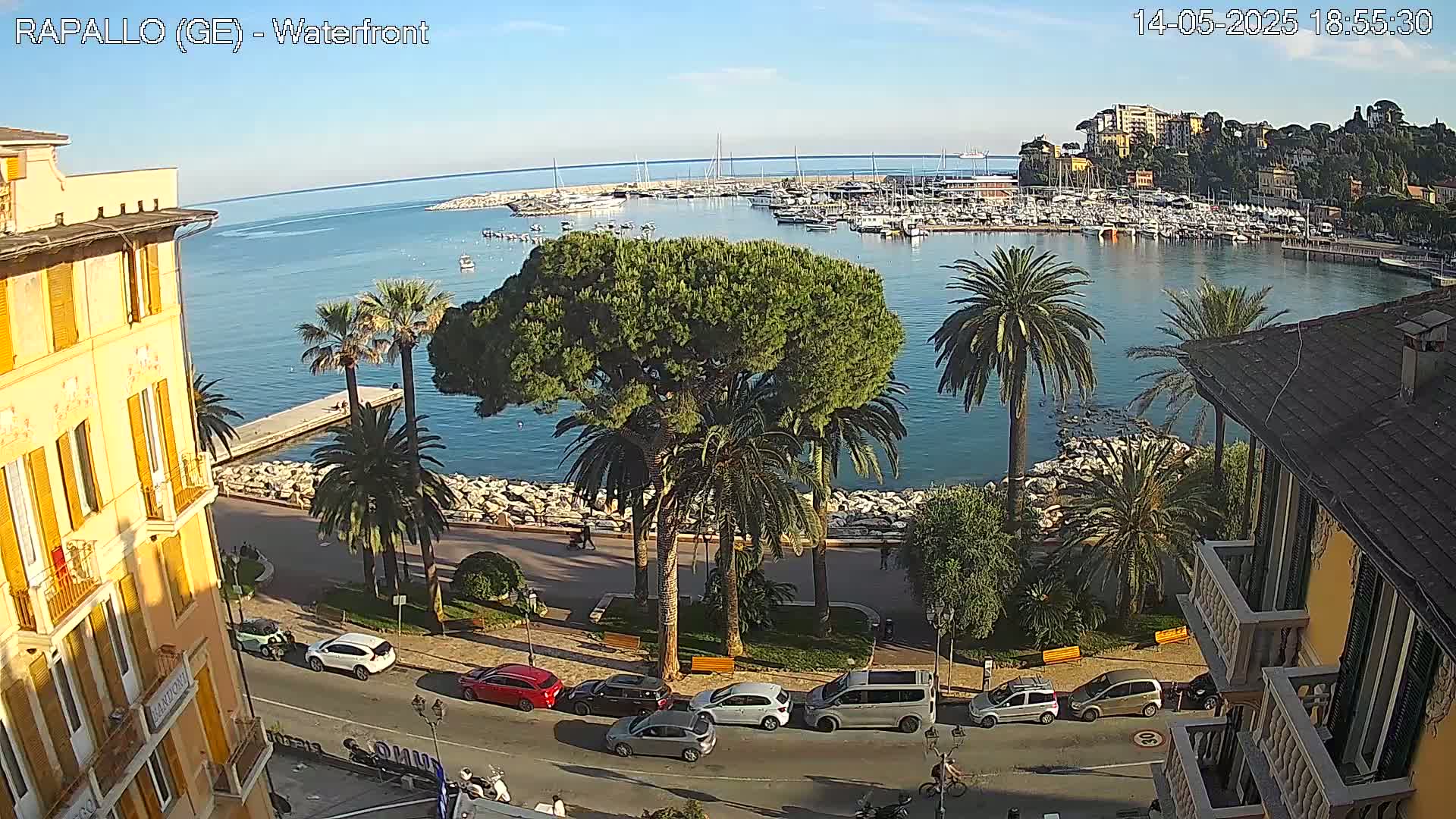 A waterfront view shows a calm harbor filled with boats, a paved walkway lined with palm trees and buildings, and a clear sunny sky.