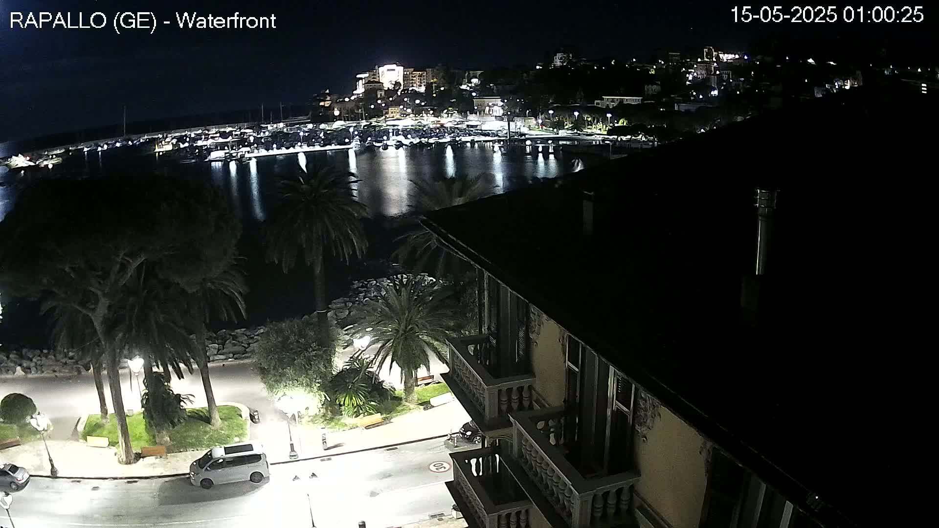 A nighttime view from a building overlooking a calm harbor filled with boats, a town lit up on the hillside beyond, and palm trees lining a street below.