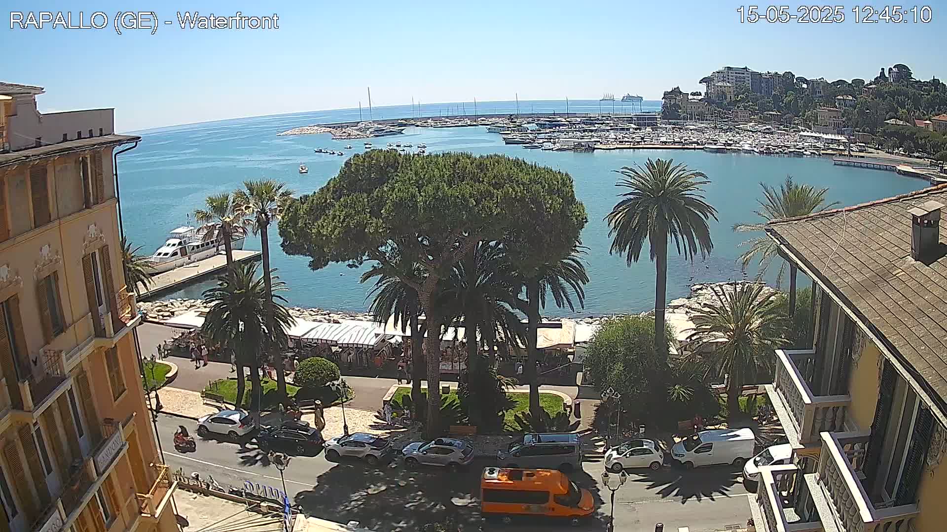 A waterfront view on a sunny day shows a harbor filled with boats, palm trees, buildings, and cars parked along a roadway.