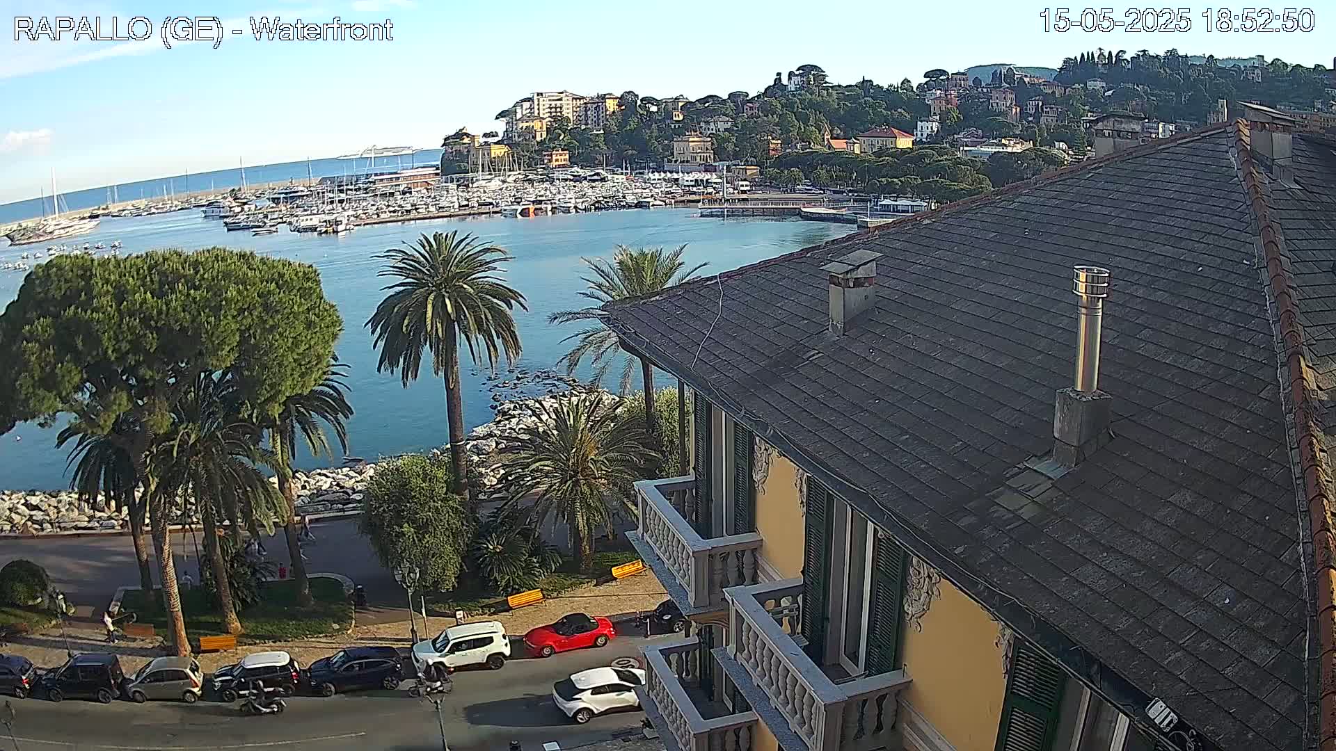 A waterfront view on a clear day shows a harbor full of boats, a town rising on a hill, palm trees lining a seaside road with parked cars, and part of a building in the foreground.