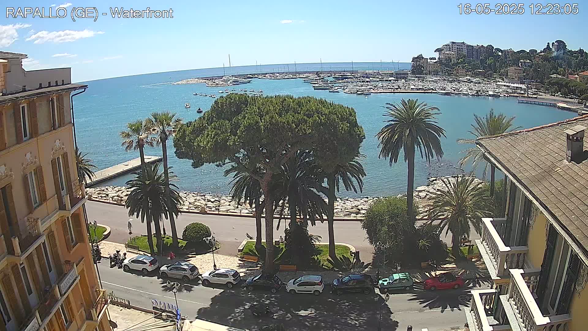 A sunny waterfront scene shows a harbor filled with boats, palm trees lining a seaside road, and buildings with balconies overlooking the water.