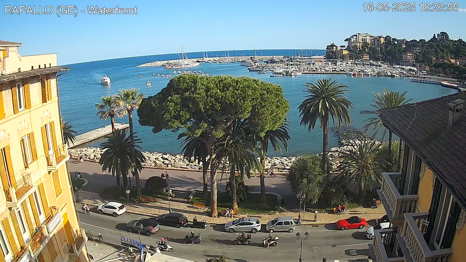 A waterfront view on a sunny day shows a harbor filled with boats, palm trees lining a paved walkway, cars parked along the road, and buildings on either side of the road.