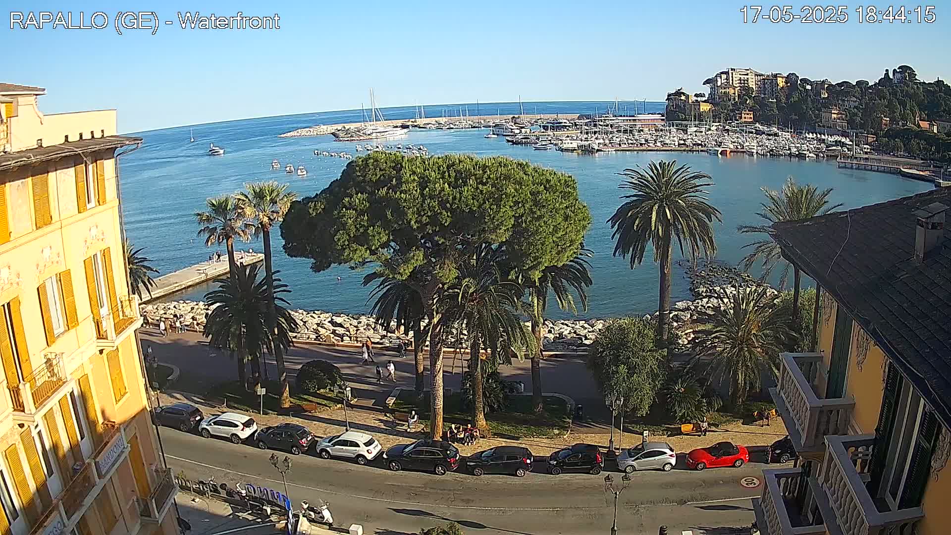 A waterfront view on a sunny day shows a calm harbor filled with boats, a seaside promenade lined with palm trees and cars, and buildings rising along the shore.