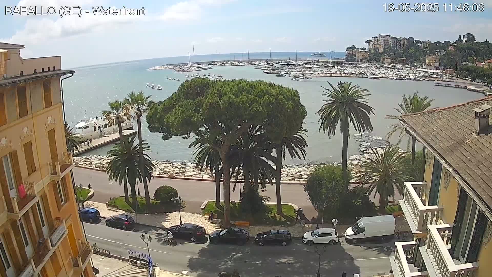 A sunny waterfront scene shows a calm harbor filled with boats, palm trees lining a paved walkway next to buildings, and several cars parked along the street.