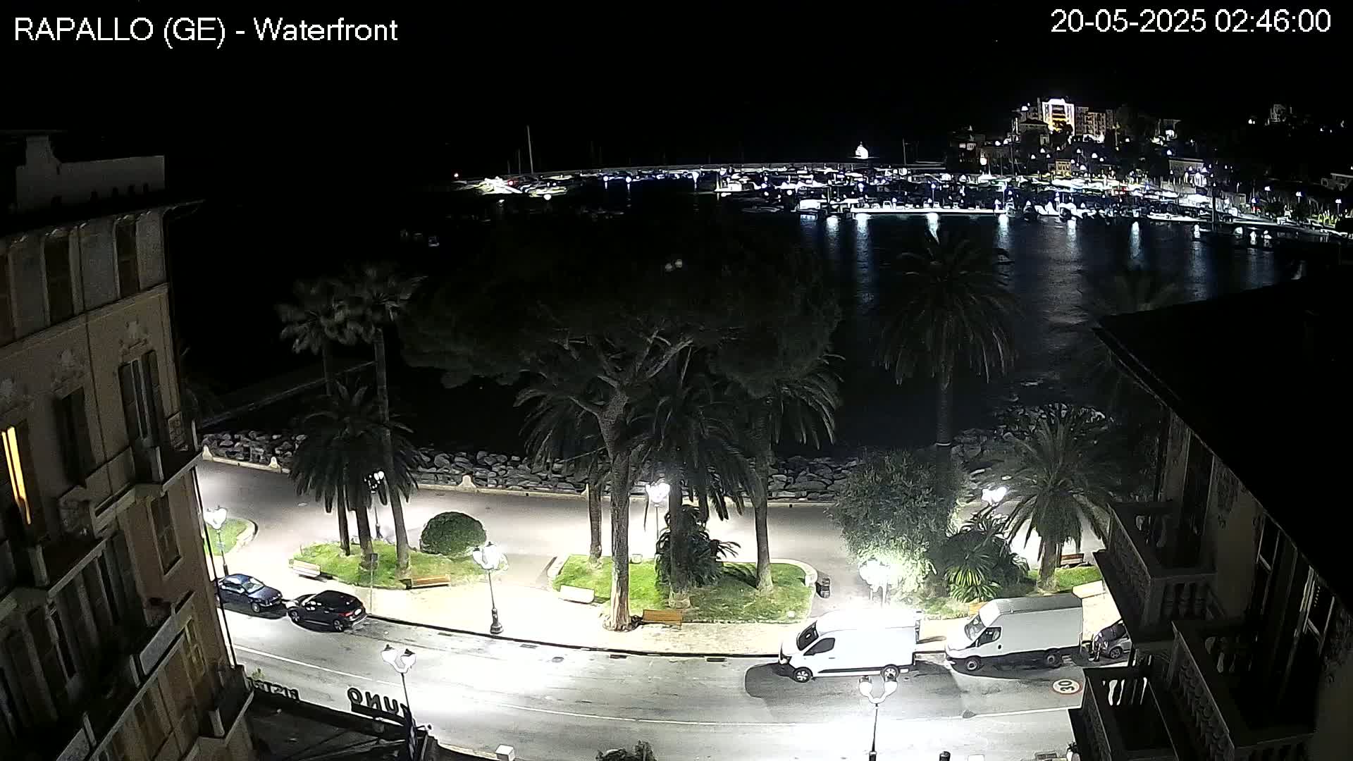 A nighttime view of a waterfront promenade, lined with palm trees and streetlights, overlooks a harbor filled with boats under a clear, dark sky.