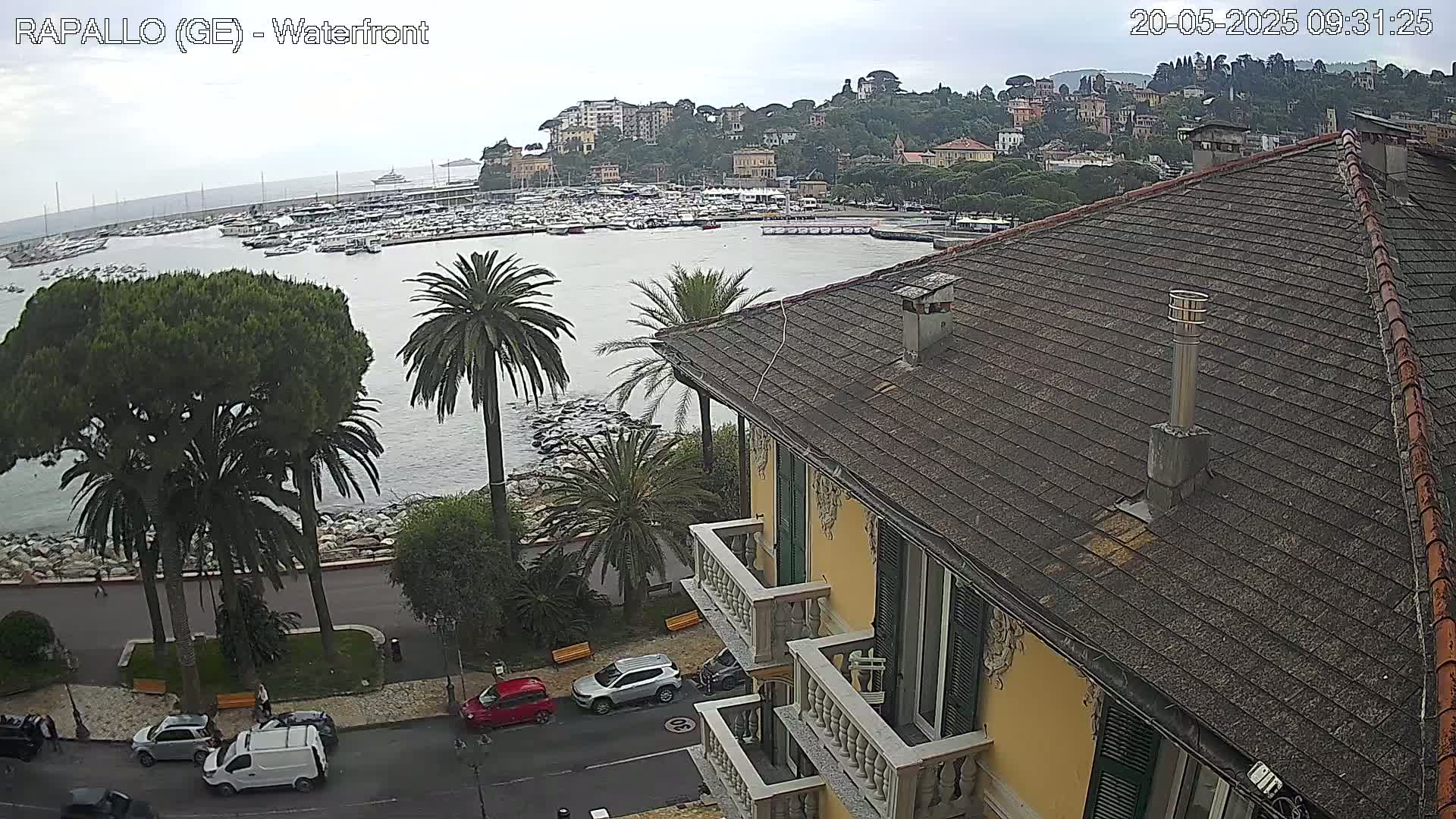 An overcast day overlooking a harbor filled with boats, a waterfront lined with palm trees and buildings, and a multi-story building with balconies in the foreground.