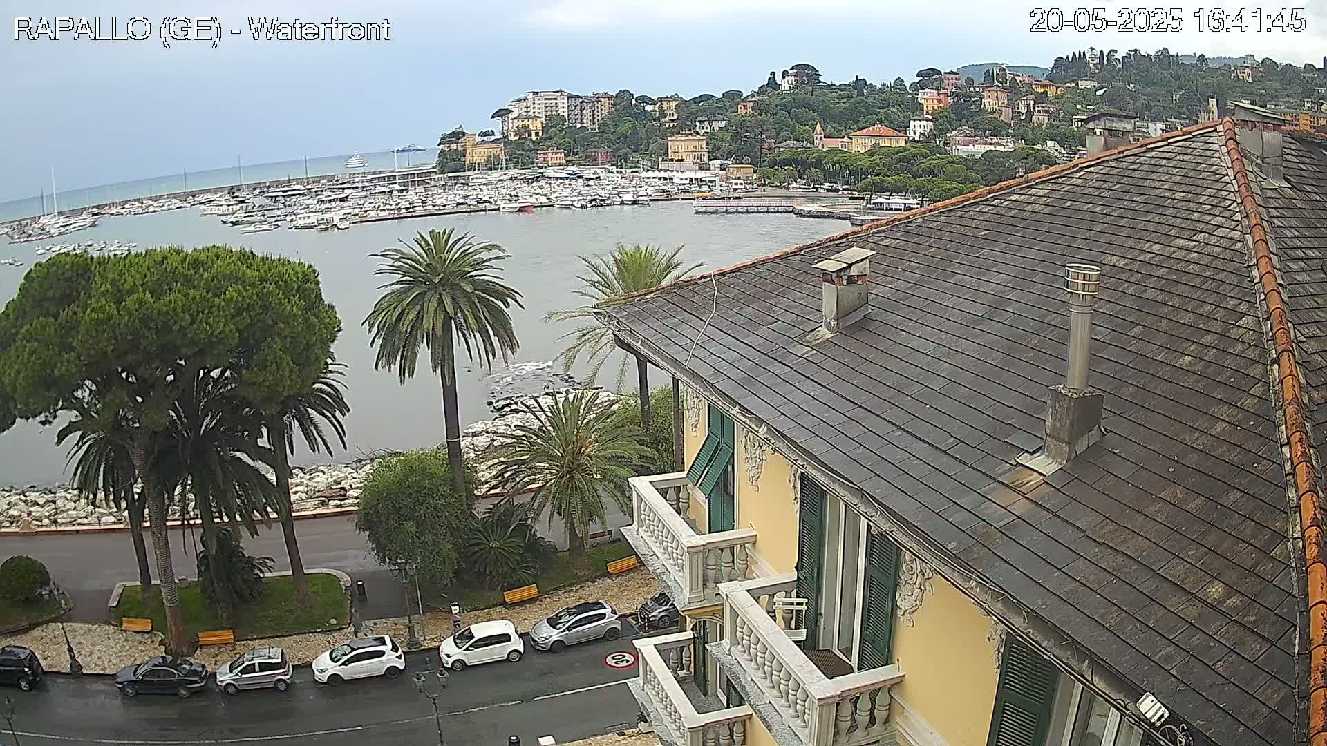 A view from a building's rooftop overlooking a harbor filled with boats, a town nestled on a hillside, and a palm-tree lined waterfront on an overcast day.