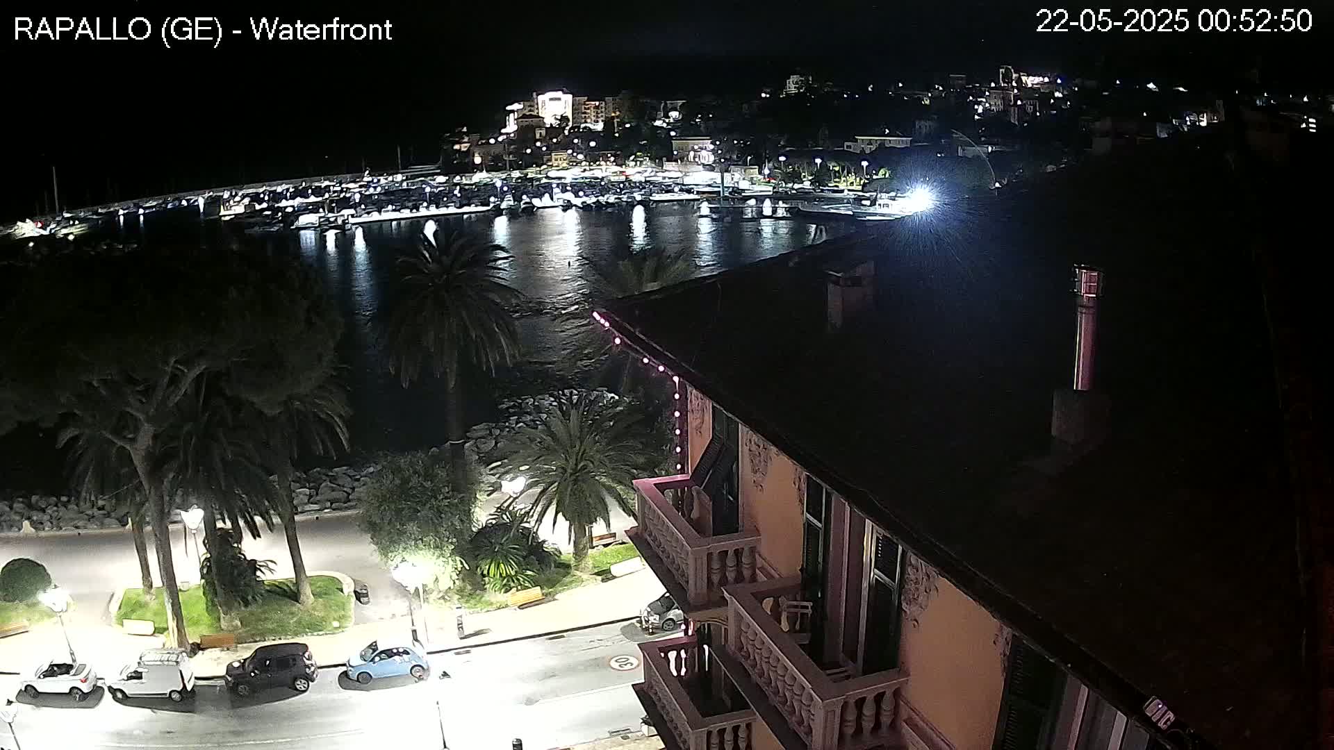 A nighttime view of a harbor filled with boats, a town illuminated in the distance, and palm trees lining a waterfront street, all seen from a building's balcony.