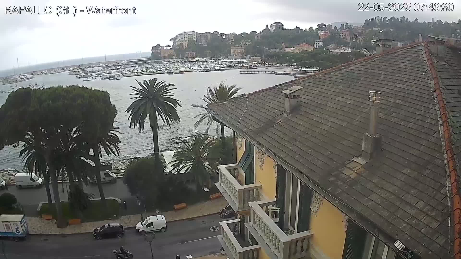 A view from a building's rooftop shows a harbor filled with boats under an overcast sky, with palm trees and a roadway visible below.