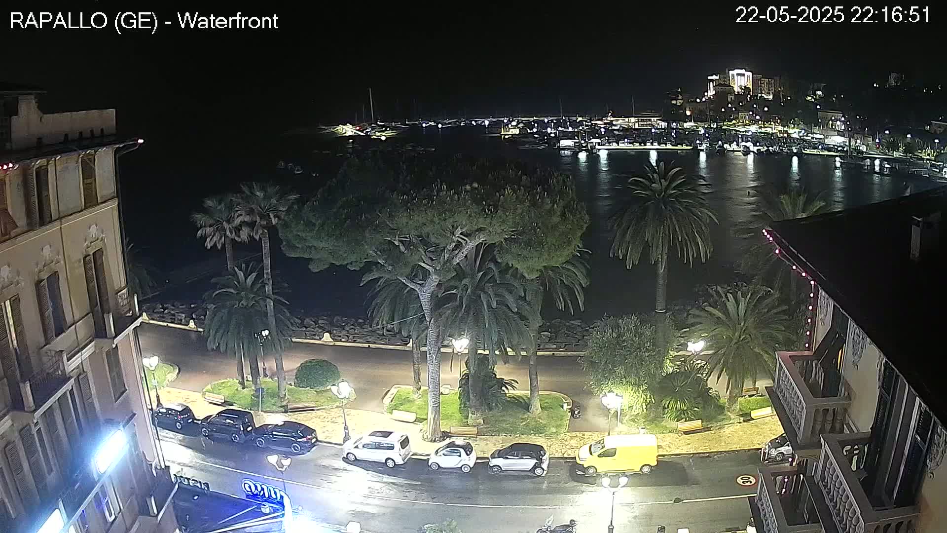 A nighttime view of a waterfront city scene shows a calm harbor with boats, palm trees lining a paved walkway, and cars parked along a street next to buildings.
