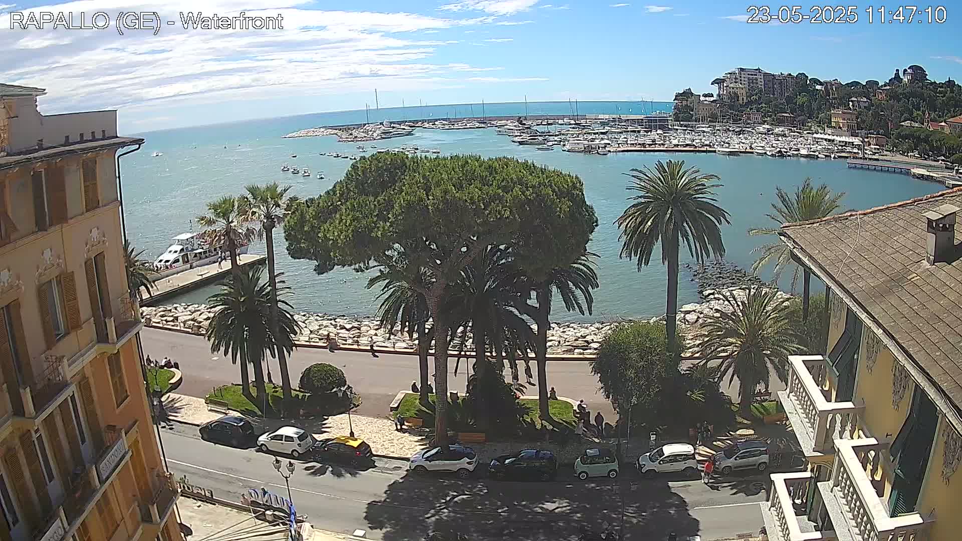 A waterfront scene on a sunny day shows a harbor filled with boats, palm trees lining a paved walkway, and buildings along the shore.