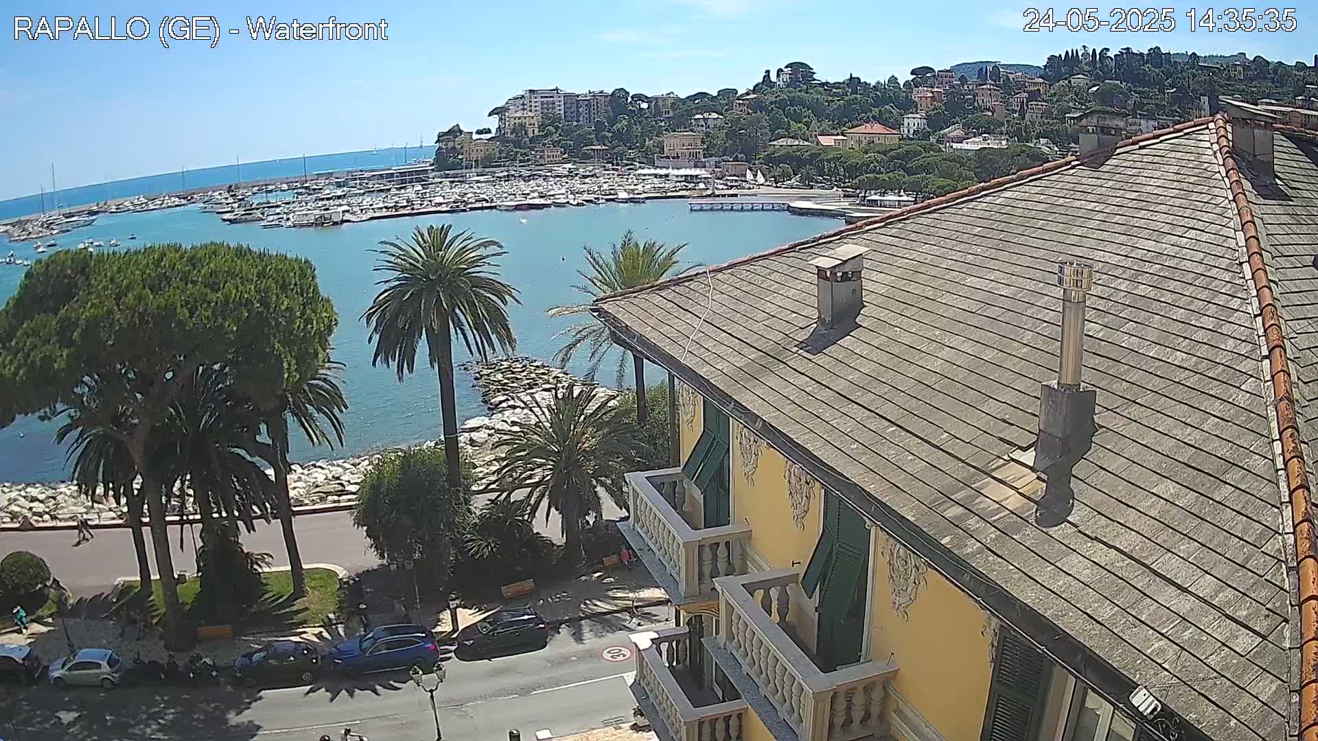 A waterfront view on a sunny day shows a harbor filled with boats, a town nestled on a hillside, palm trees lining a roadway, and a yellow building with a gray roof in the foreground.