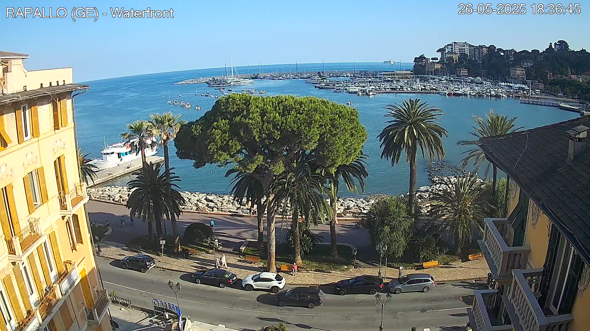 A waterfront scene on a sunny day shows a harbor filled with boats, palm trees lining a seaside promenade, cars parked along a street, and buildings along the shore.